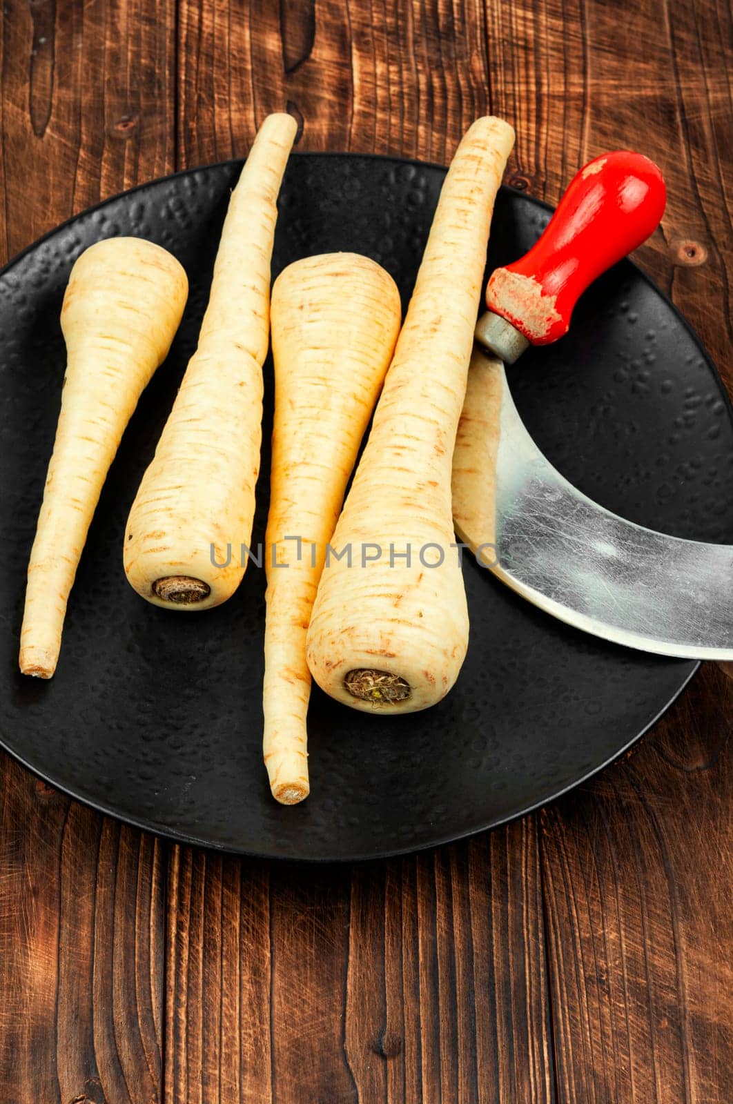 Raw and uncooked parsnips roots. Concept of healthy eating.