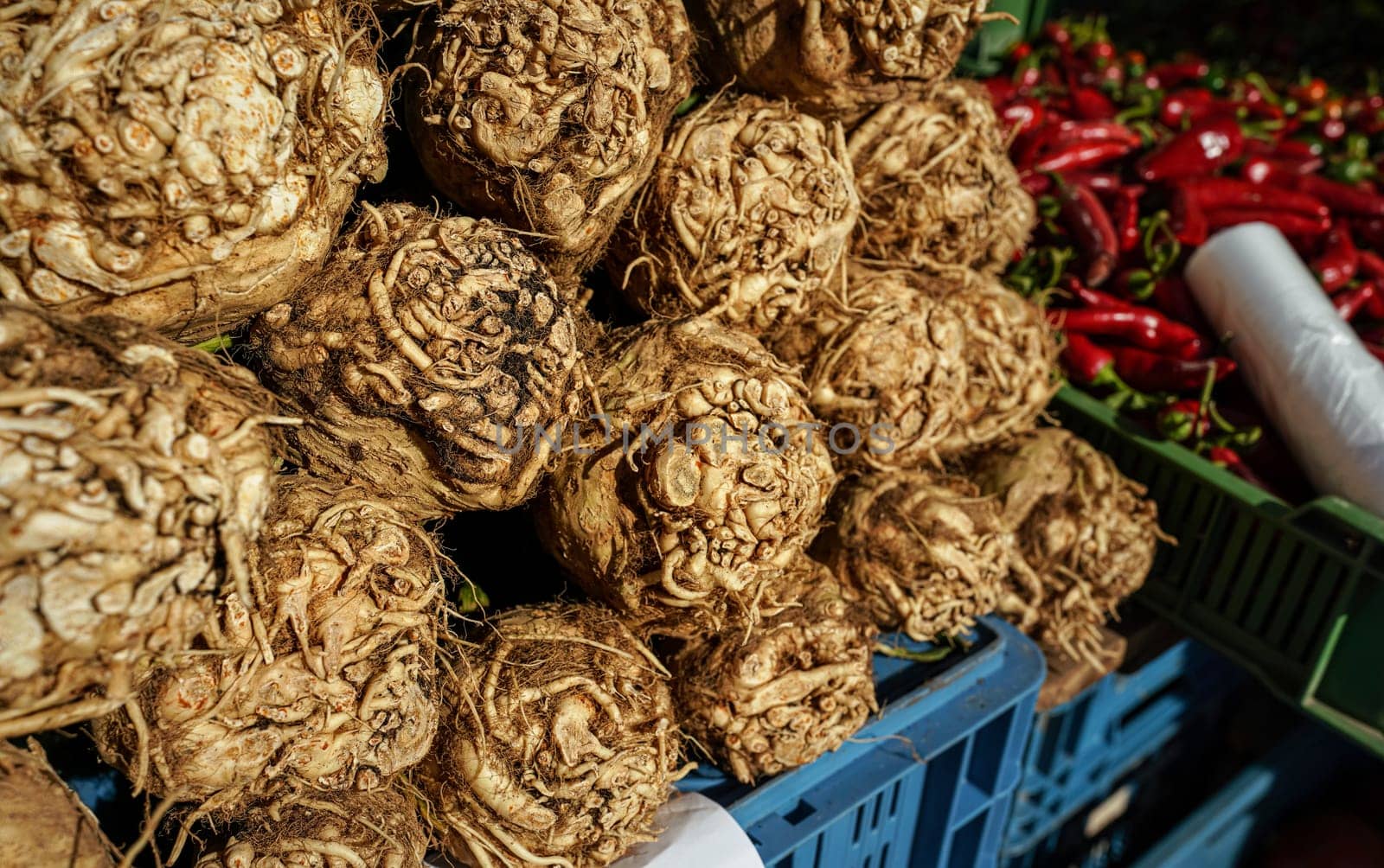 Celeriac or turnip-rooted celery roots displayed on street vegetables market