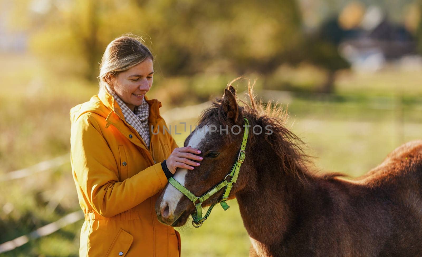 Small brown Arabian horse foal, young woman in yellow orange jacket standing next, blurred sun lit autumn trees background