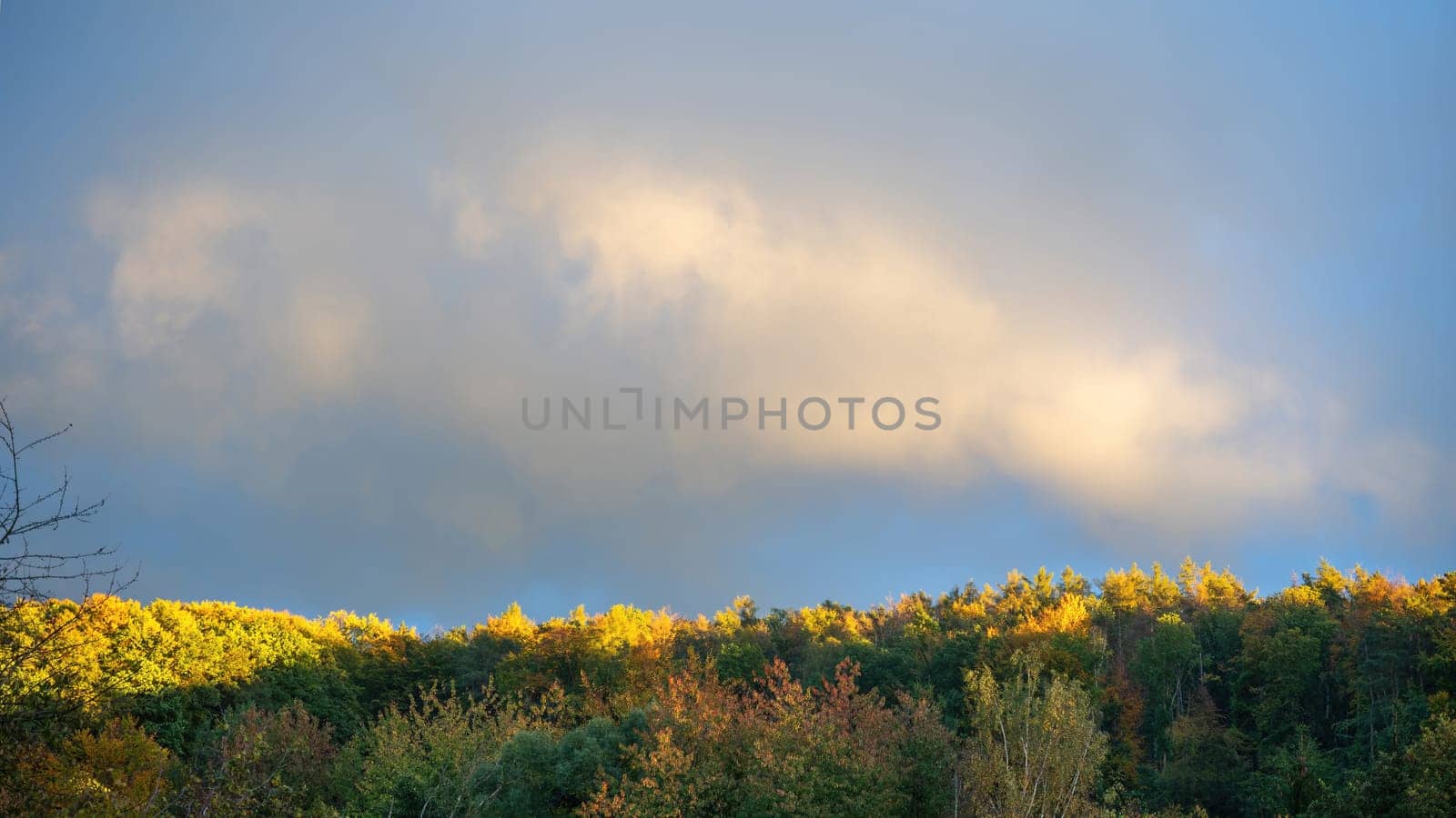 Cloud in the sky in the evening sun over a green forest