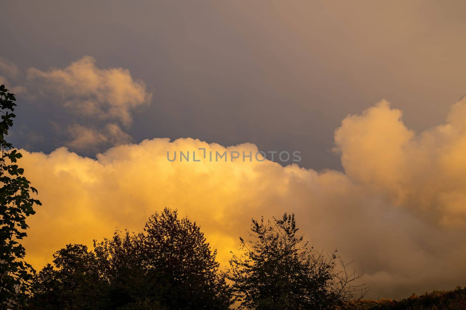 Big yellow cloud in the sky in the evening sun over a green forest