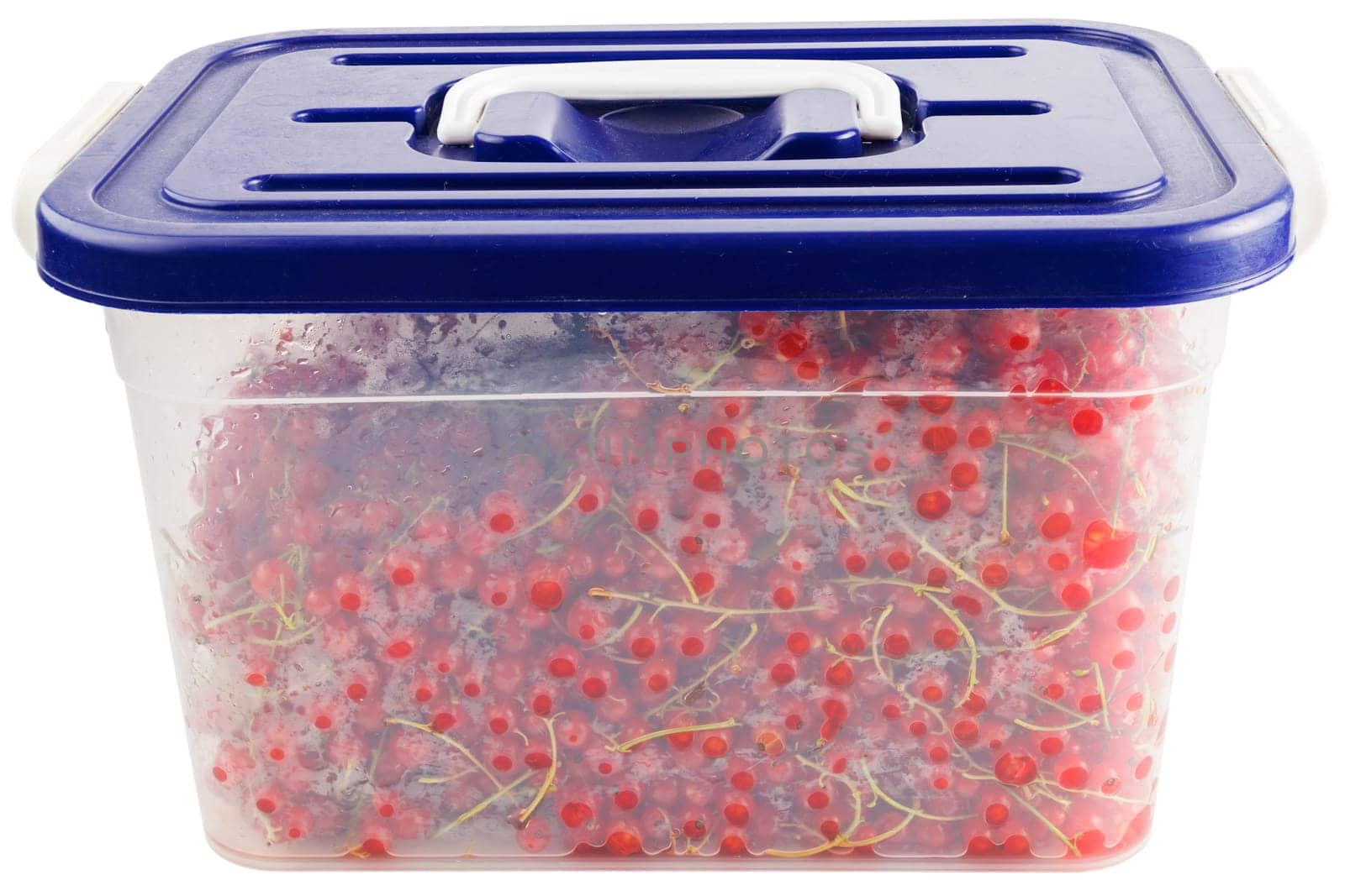 plastic container with red currants isolated on white background.
