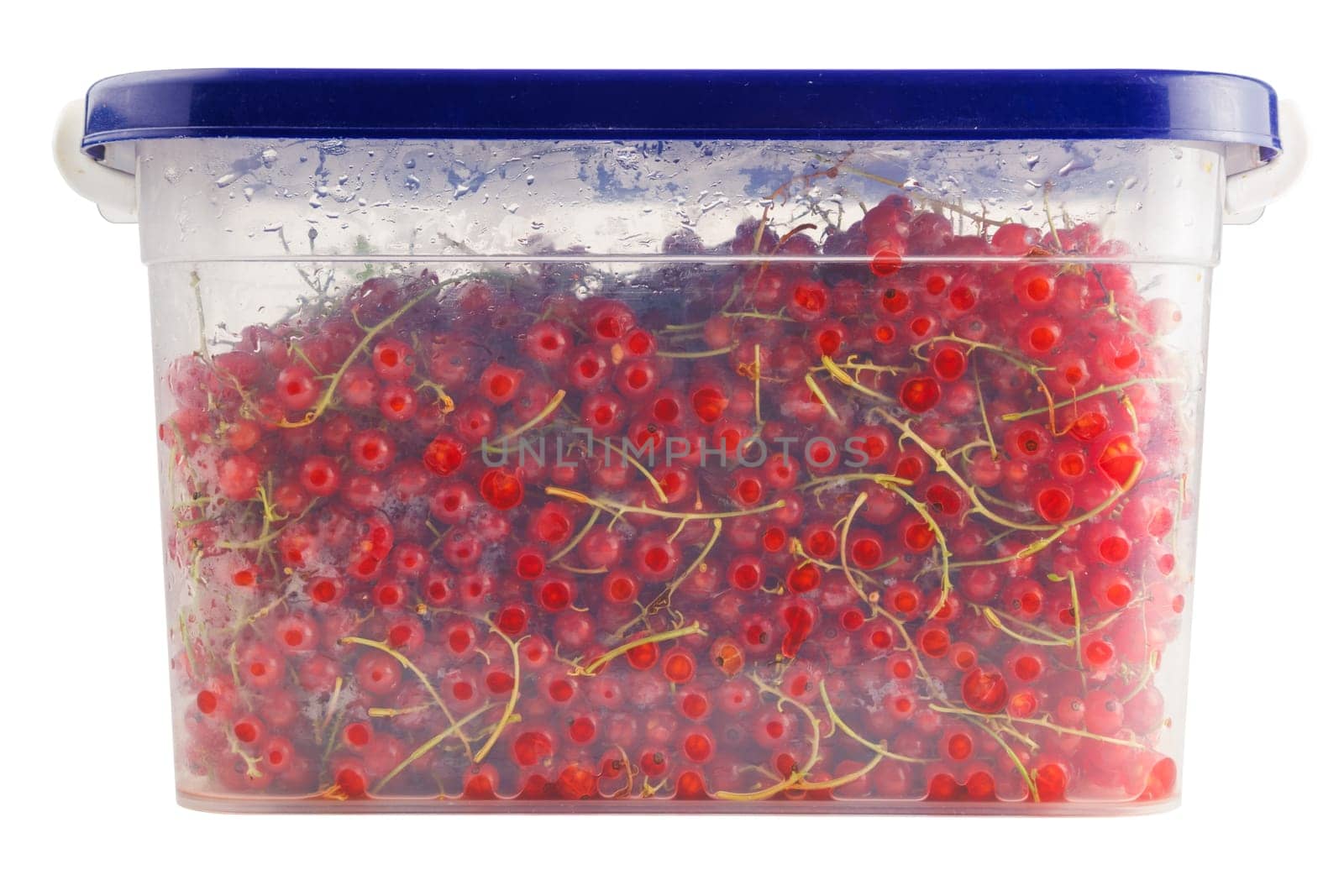 plastic container with red currants isolated on white background.