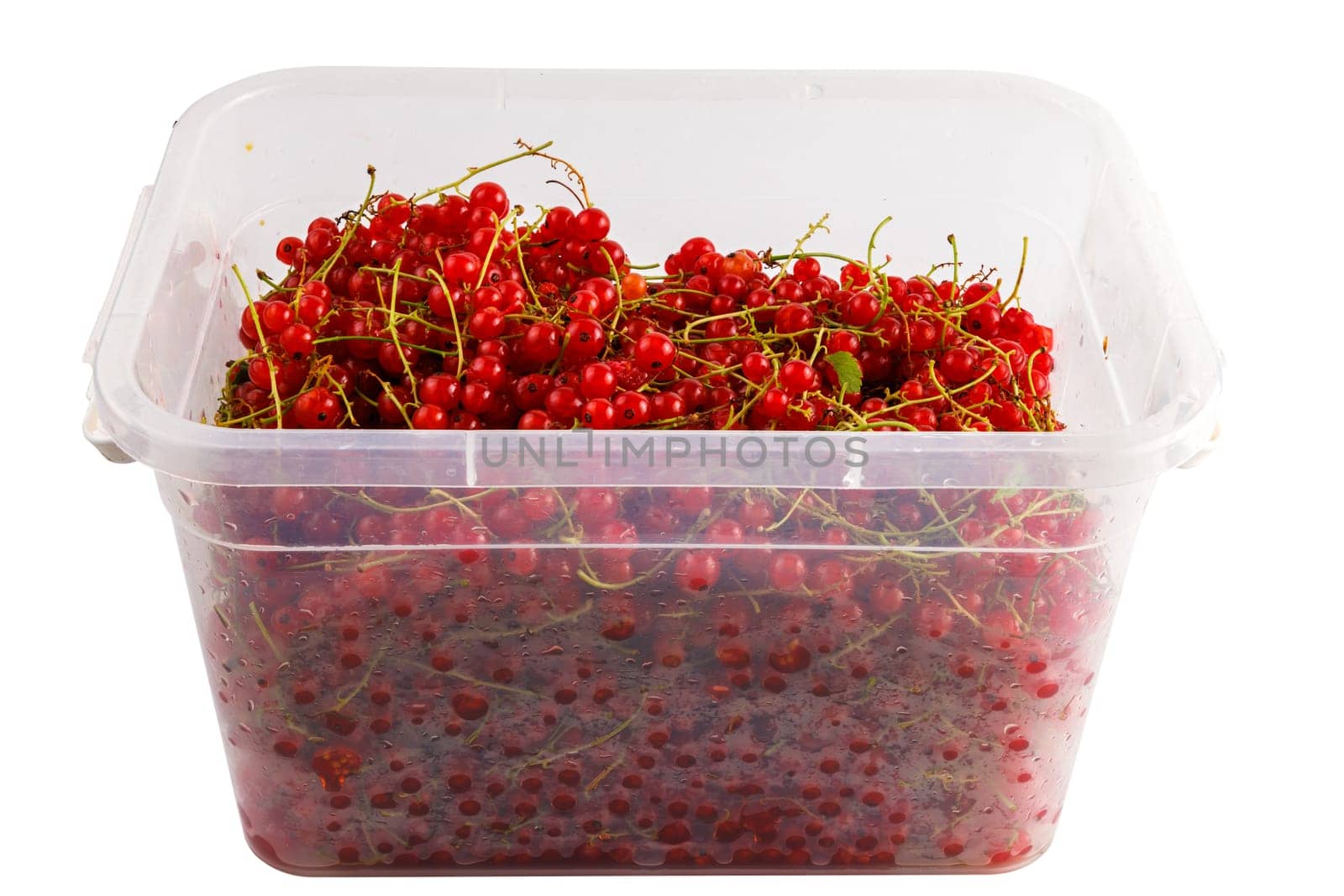 plastic container with red currants isolated on white background.
