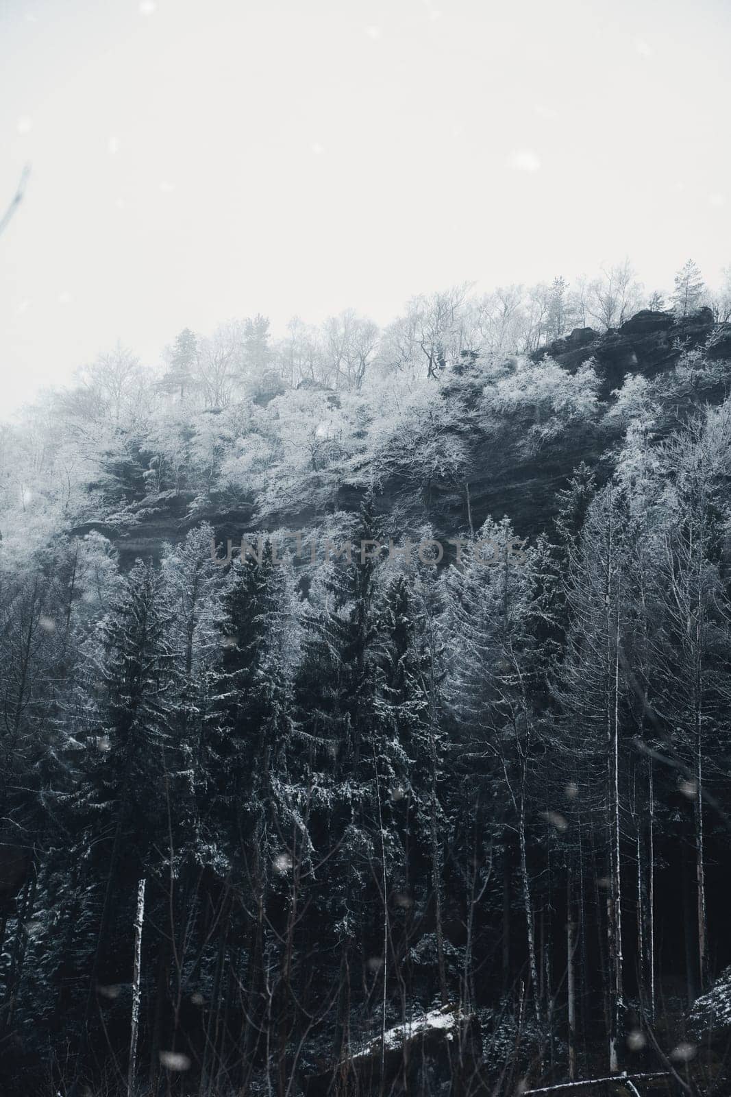 View of the great Zschirnstein with snow-covered trees and sunrise in fog, on the summit, during a hike. From the nature park in the Elbe Sandstone Mountains. Landscape from things in Germany