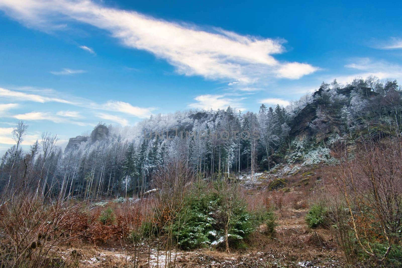 View of the great Zschirnstein with snow-covered trees and sunrise in fog, on the summit, during a hike. From the nature park in the Elbe Sandstone Mountains. Landscape from things in Germany