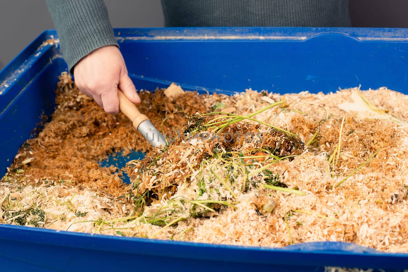 Cleaning the rabbit cage, scatter and straw with rabbit shit and leftover vegetables, taking care of a pet, shovel with waste