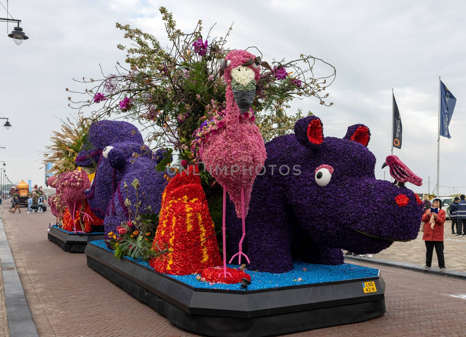 Noordwijk, Netherlands - April 22, 2023: Spectacular flower covered floats in the Bloemencorso Bollenstreek the annual spring flower parade from Noordwijk to Haarlem in the Netherlands.