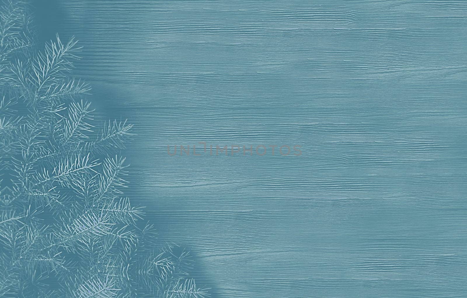 Abstract monochrome background with a fir branch on a wooden panel with an empty space for text top view