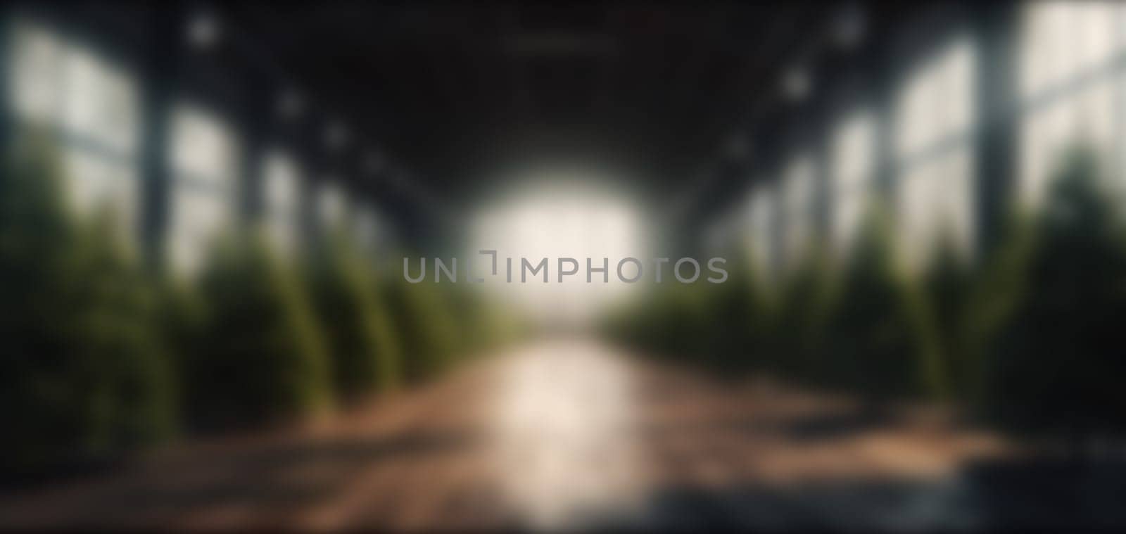 A defocused image of a greenhouse, creating a dreamy and mysterious atmosphere, evoking curiosity and wonder.background