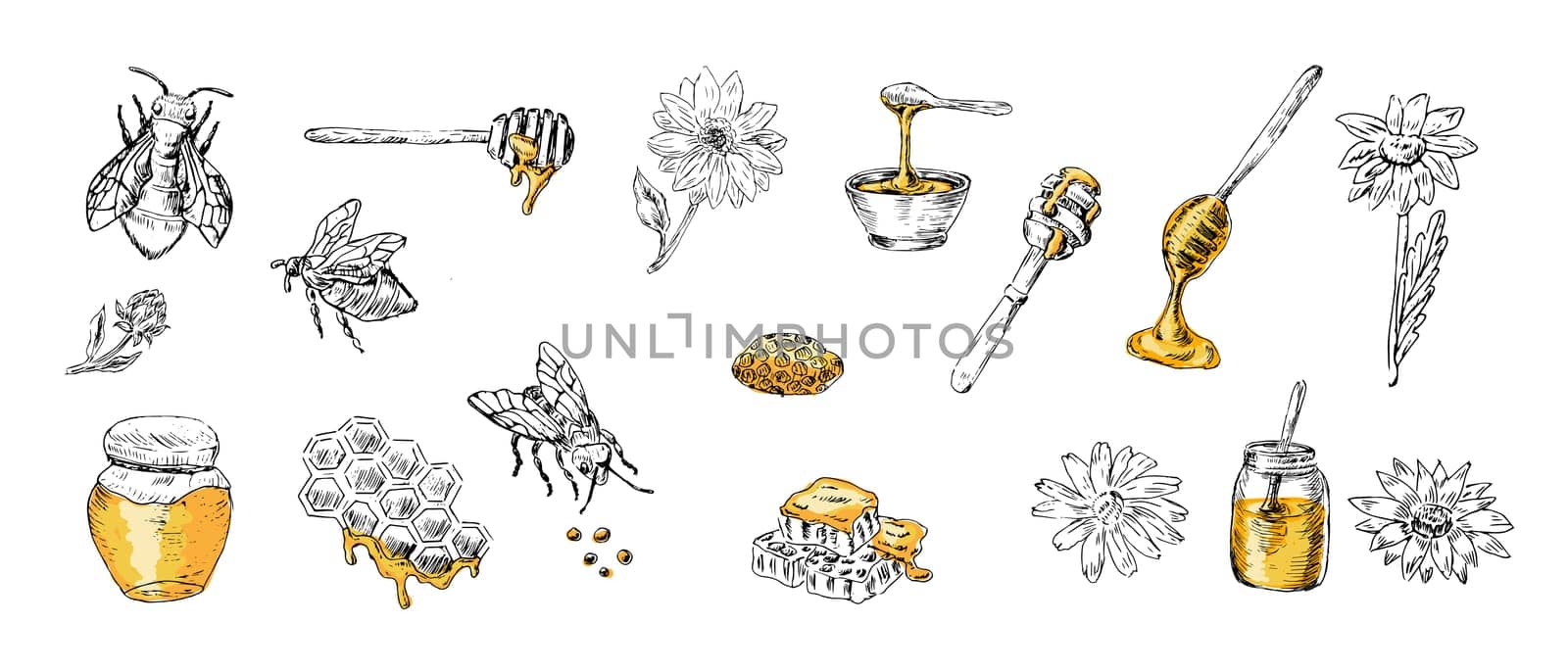 Honey set of sketch bee, spoon, jar, flowers with yellow colors. Vector illustration can used for wrapping paper, textile, food label, print for organic honey products.
