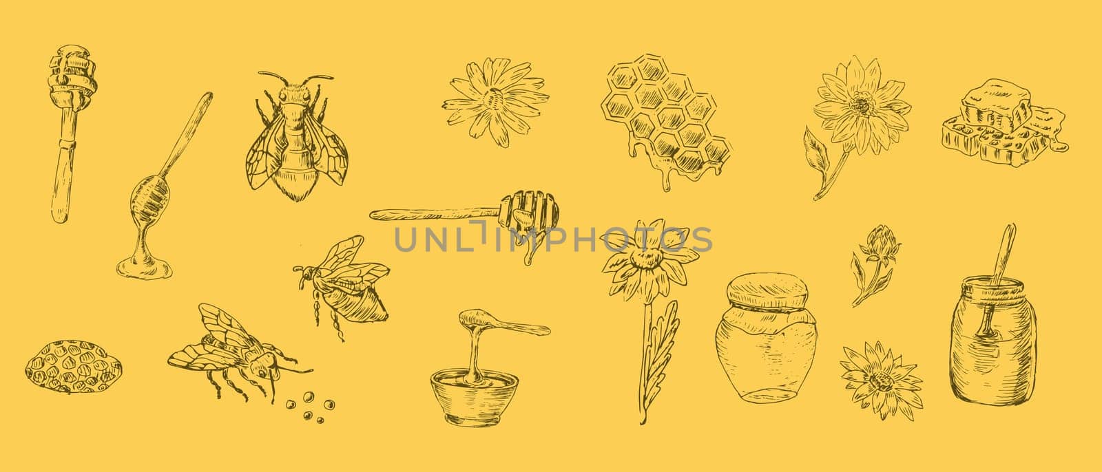 Sketch set of honey products and flower, bee on yellow background. Vector illustration can used for wrapping paper, textile, food label, print for organic honey products.