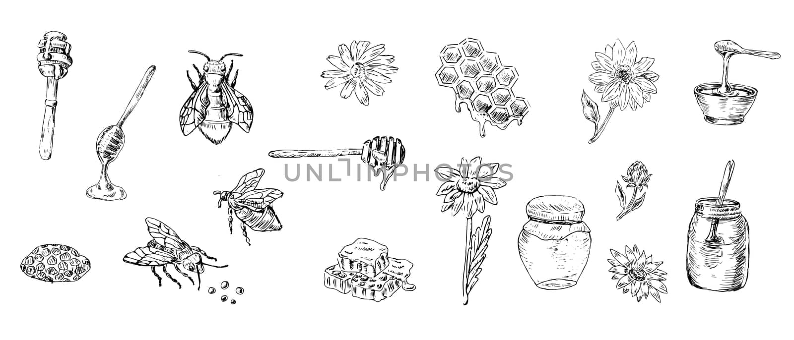 Big outline set of honey design elements bee and jar. Vector illustration can used for wrapping paper, textile, food label, print for organic honey products.
