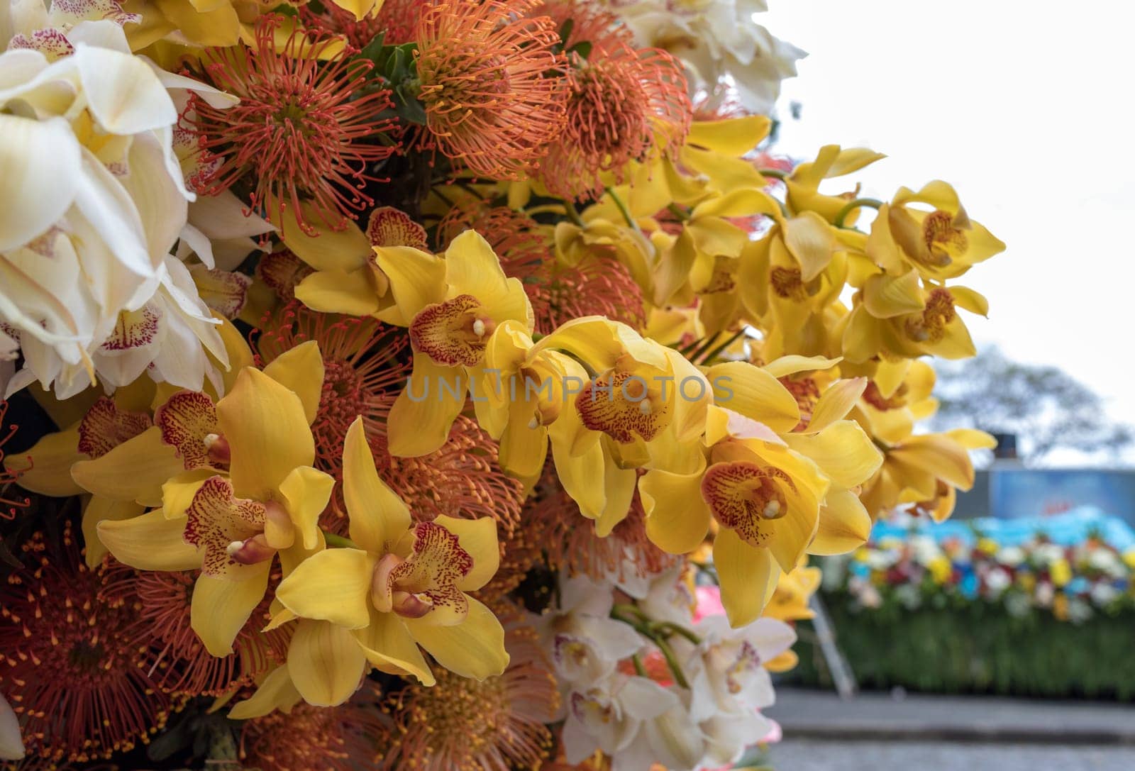 Beauty floristic decoration with colorful tropical flowers