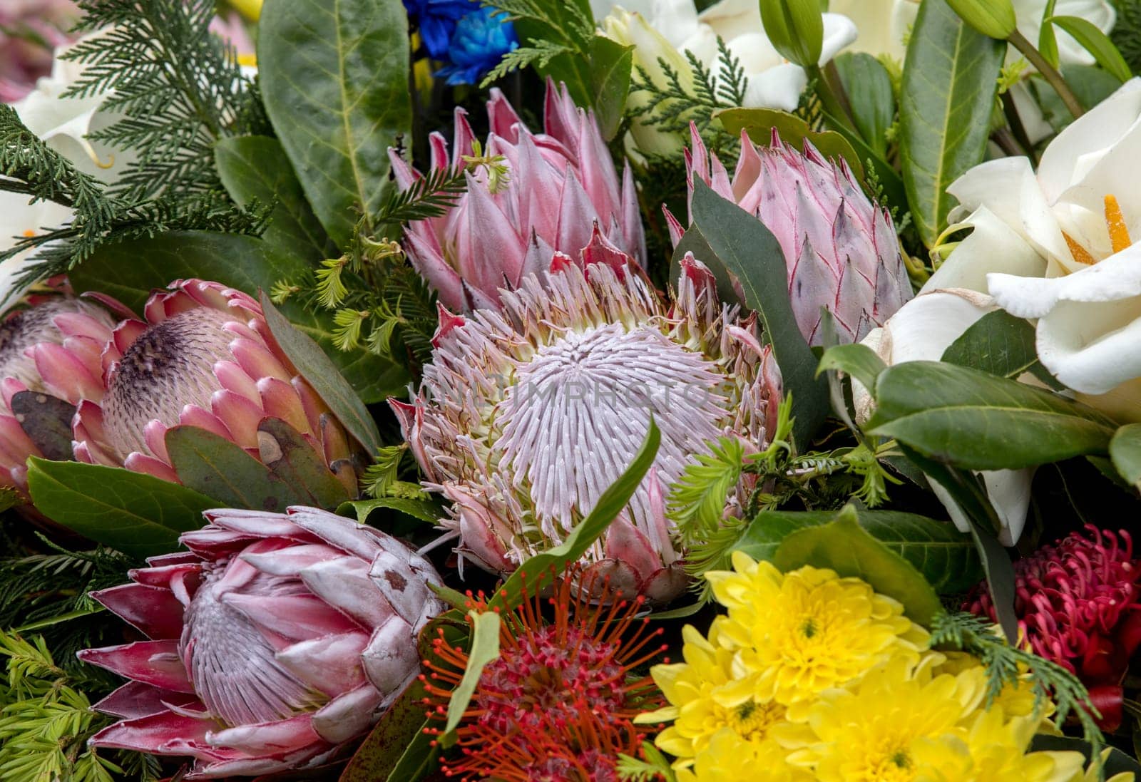 Beauty floristic decoration with colorful tropical flowers
