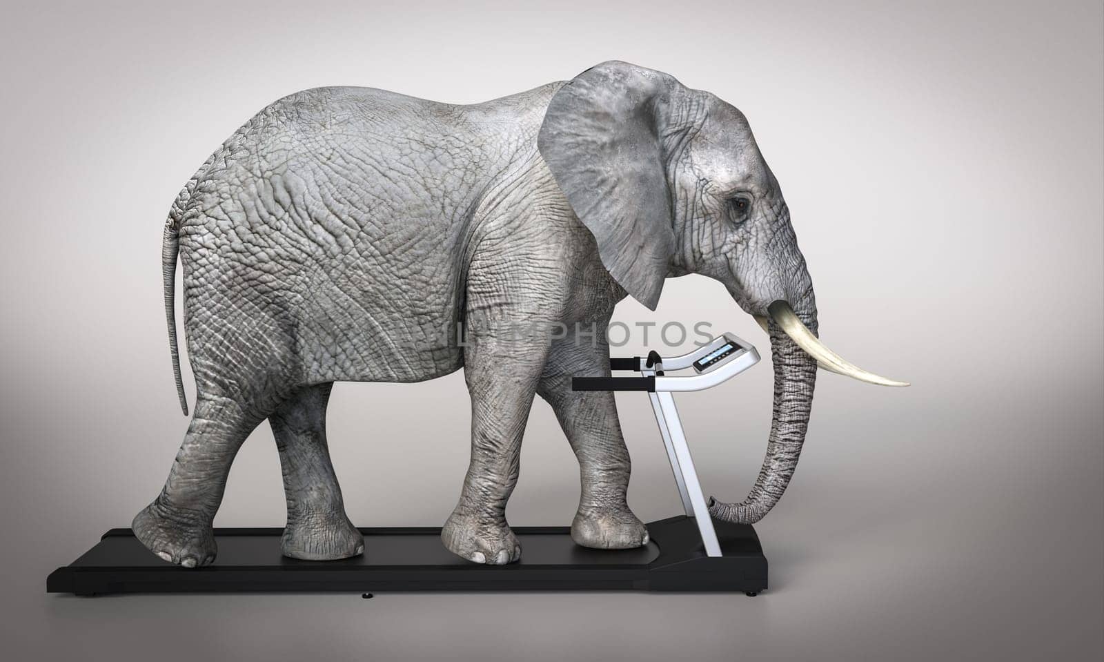 Elephant on treadmill . 3d render