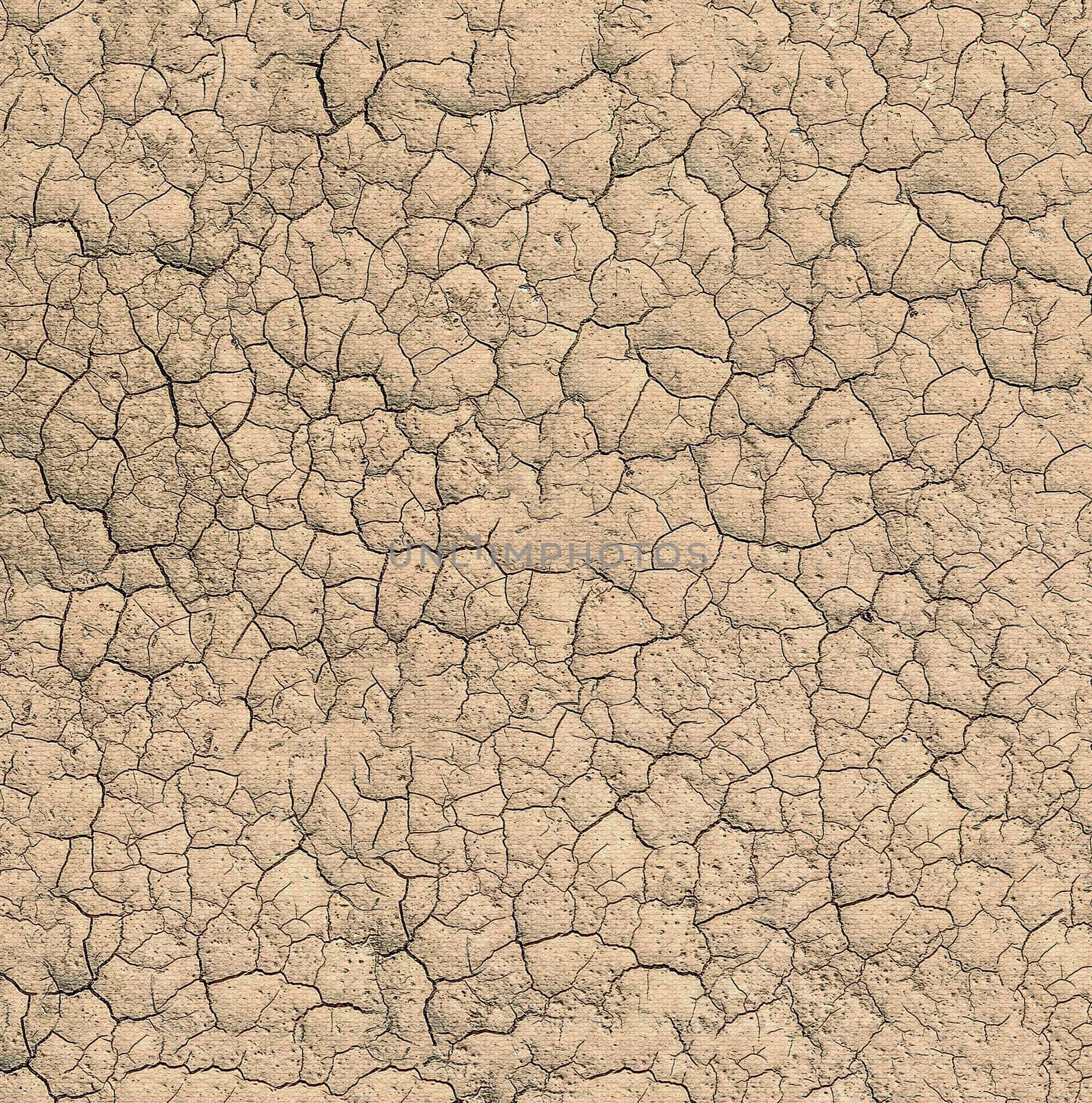 Abstract textured brown background of dry soil covered with cracks and depressions