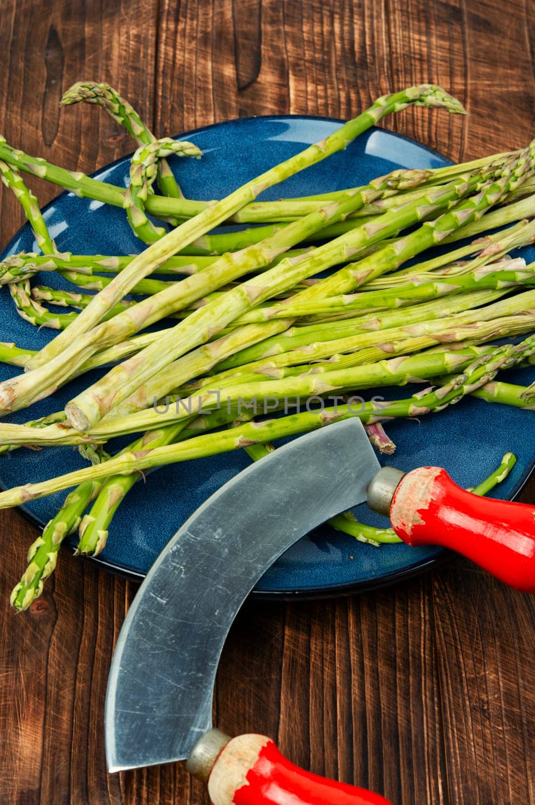 Uncooked raw and fresh asparagus on the kitchen table.