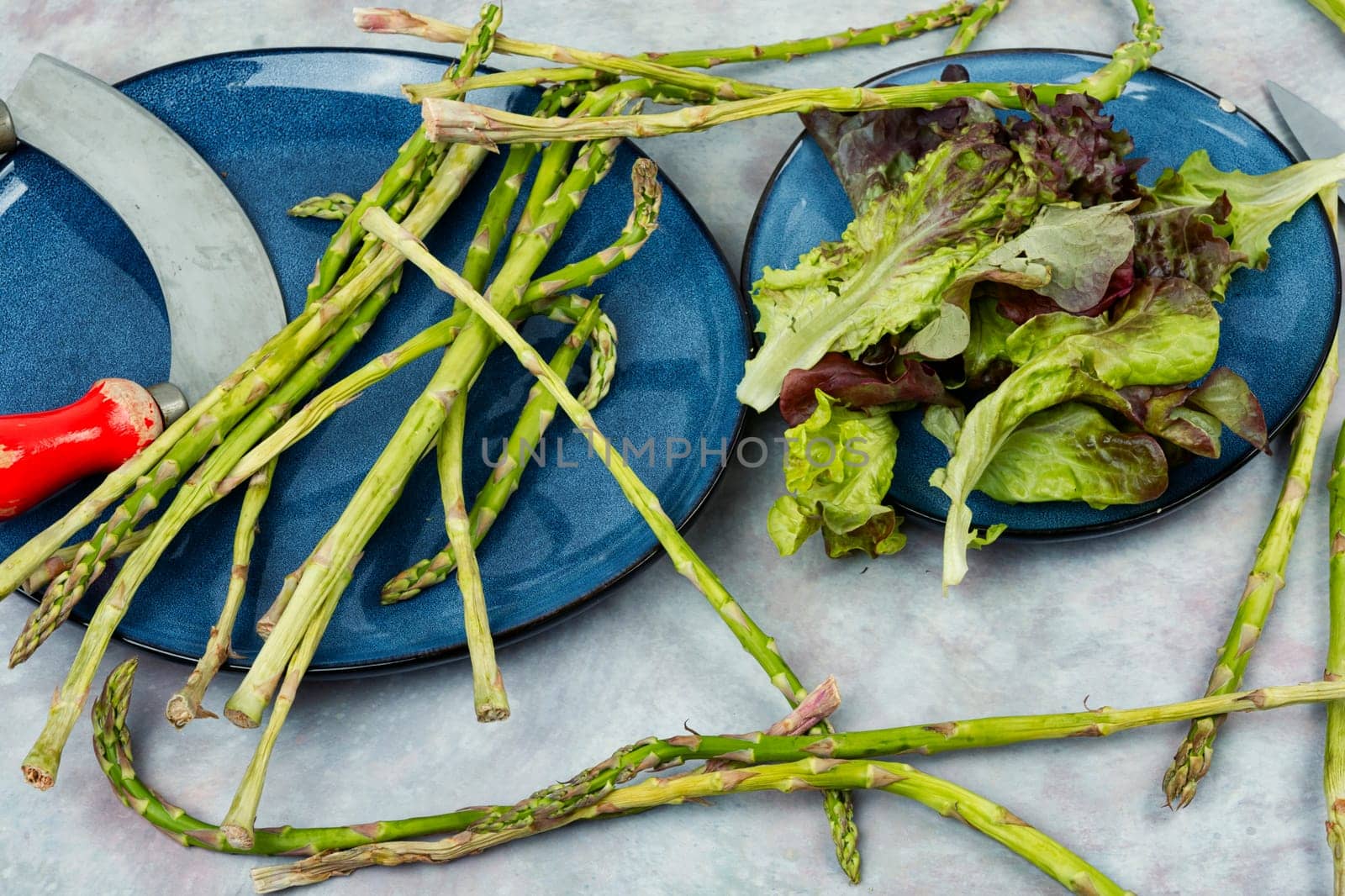 Uncooked raw and fresh young asparagus on the kitchen table.