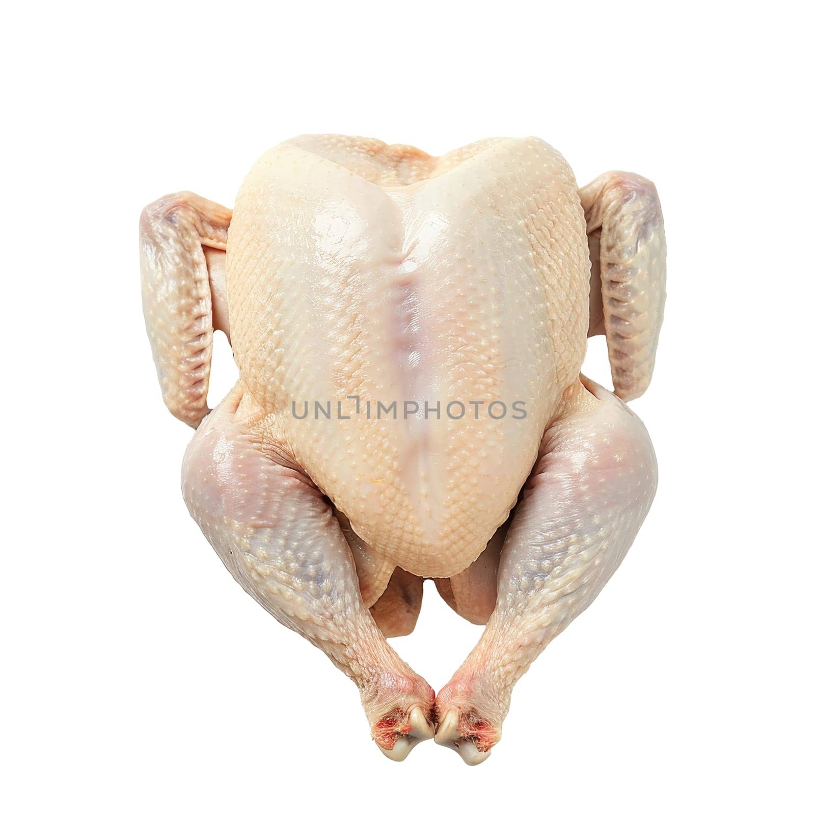 Raw whole chicken isolated on transparent white background, ready for cooking