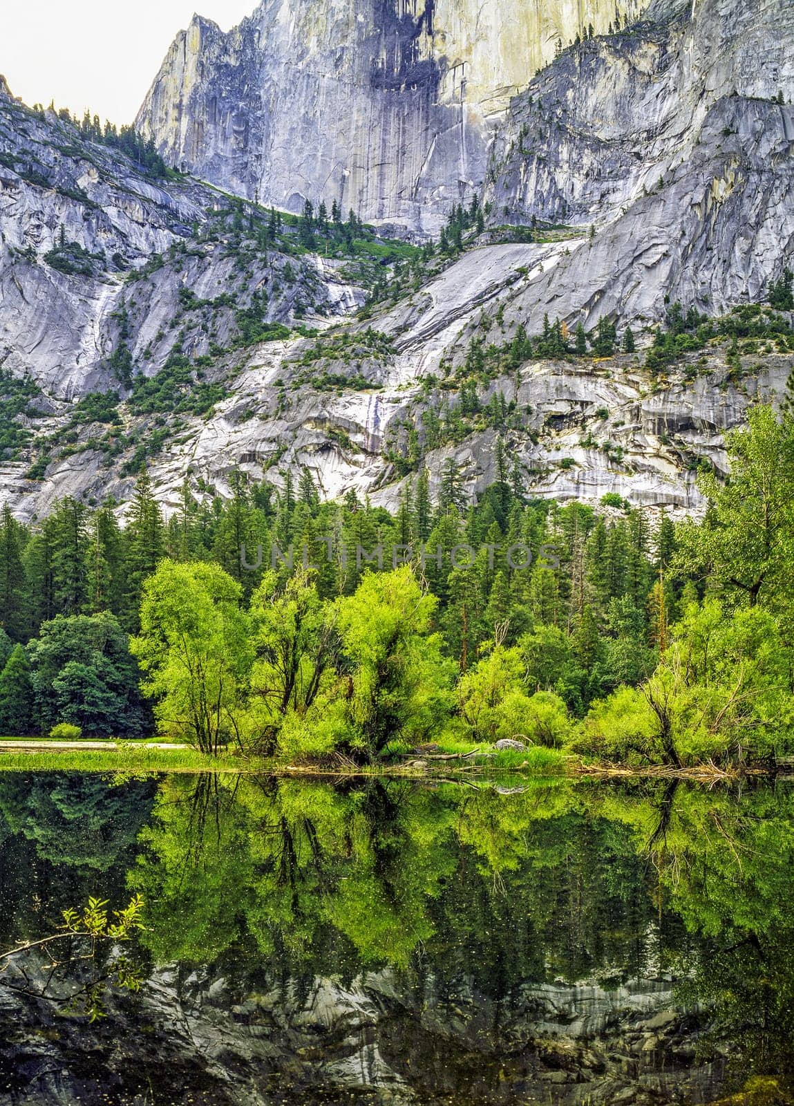El Capitan in Yosemite National Park