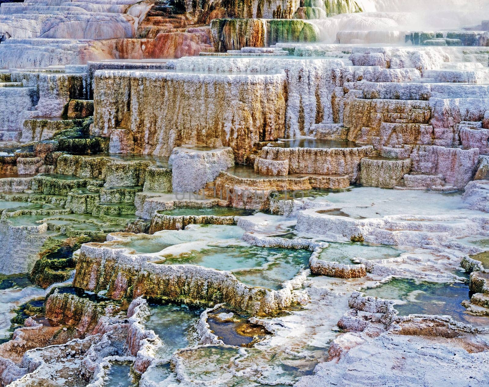 Minerva Terrace in  Mammoth Hot Springs, Yellowstone National Park
