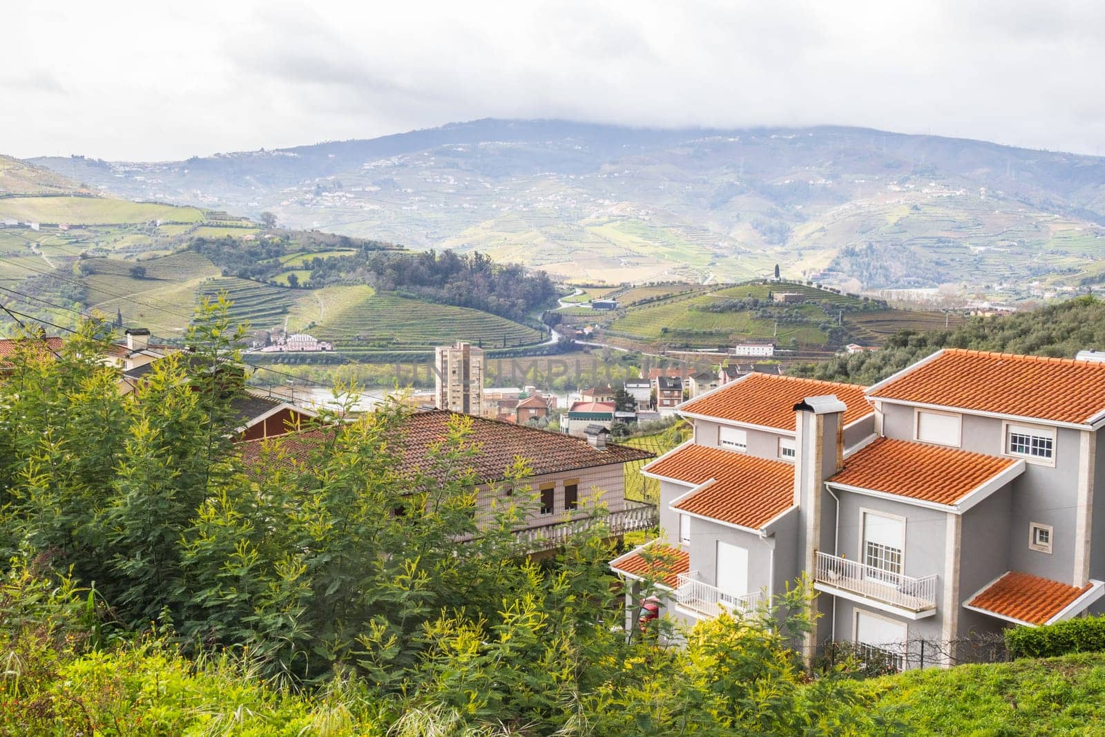 Landscape with terraced vineyards near Peso da Régua in Portugal