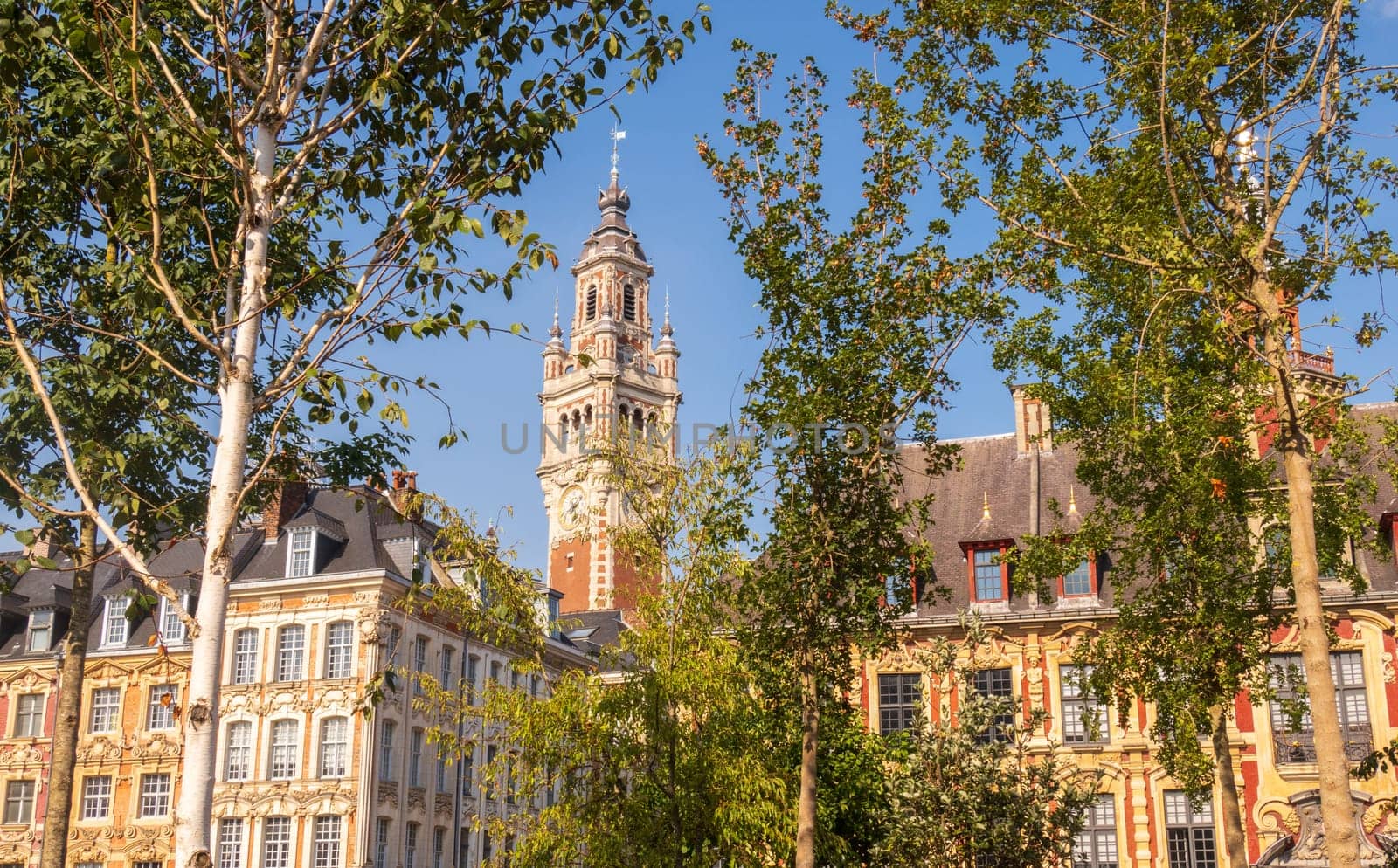 Grand Place in the city of Lille and its belfry in summer