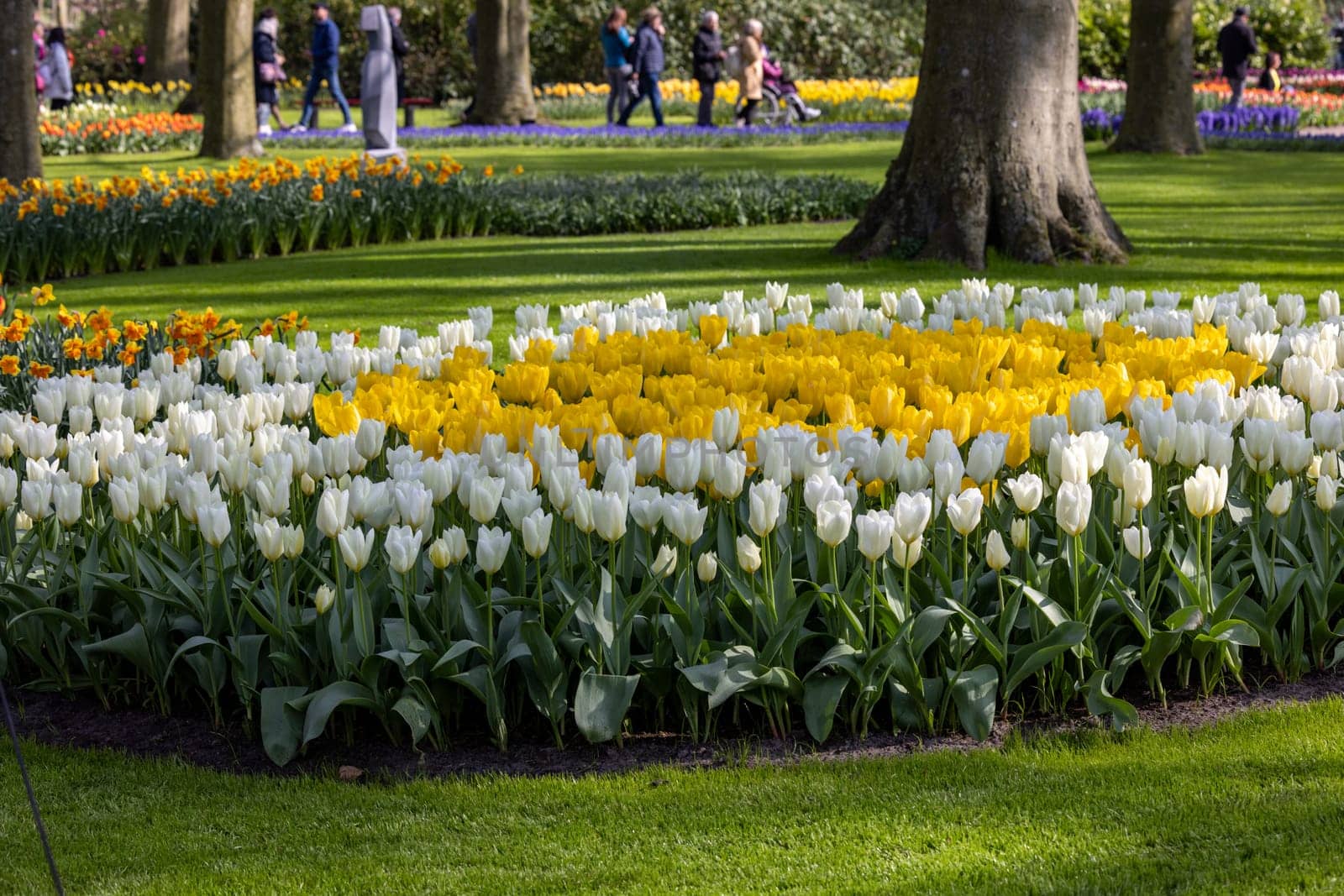 Keukenhof, Lisse Netherlands - April 18, 2023: Visitors at the Keukenhof Garden in Lisse, Netherlands.