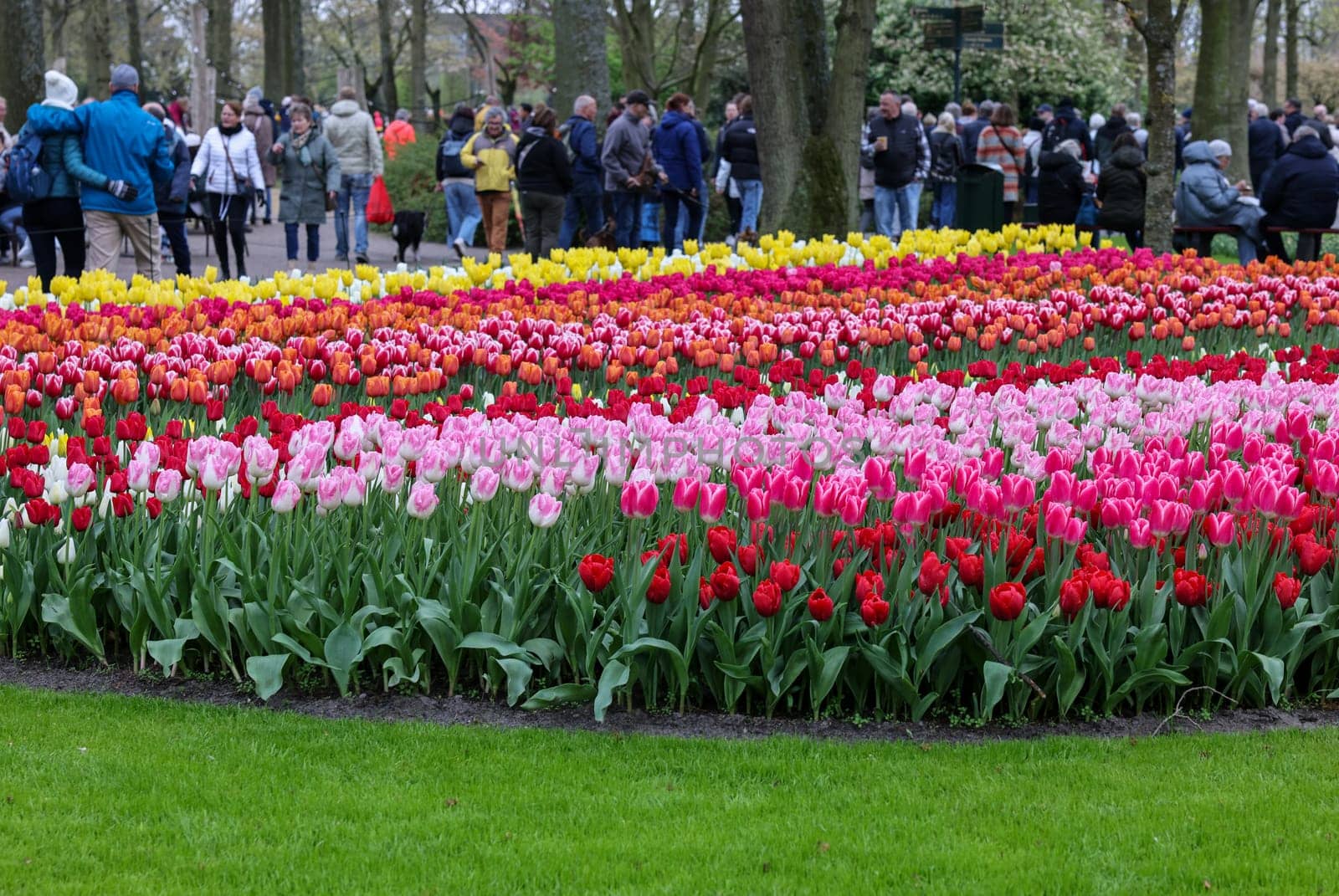 Keukenhof, Lisse Netherlands - April 18, 2023: Visitors at the Keukenhof Garden in Lisse, Netherlands.