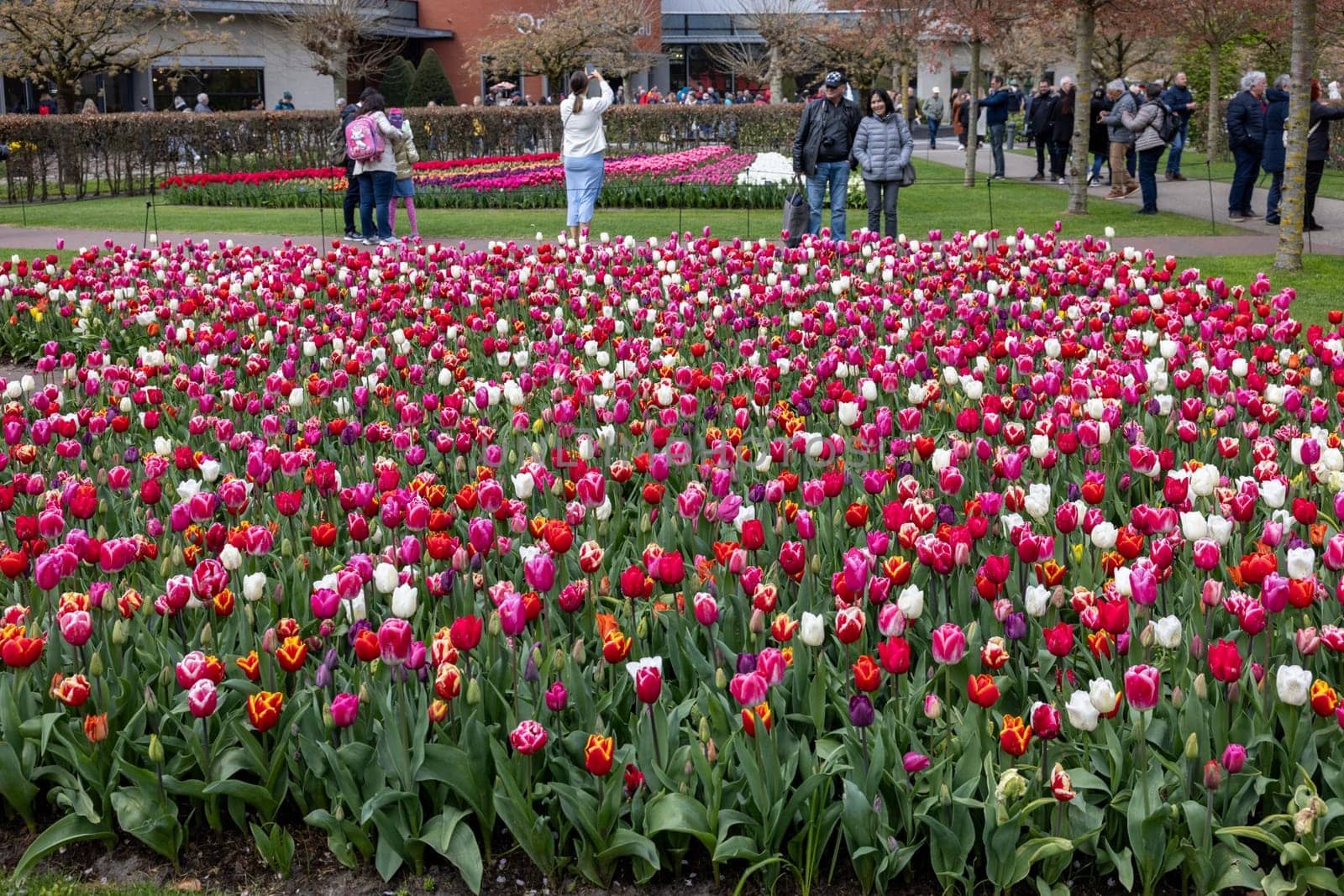 Keukenhof, Lisse Netherlands - April 18, 2023: Visitors at the Keukenhof Garden in Lisse, Netherlands.