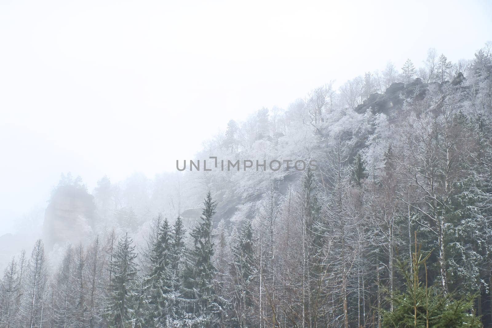 View of the great Zschirnstein with snow-covered trees and sunrise in fog, on the summit, during a hike. From the nature park in the Elbe Sandstone Mountains. Landscape from things in Germany