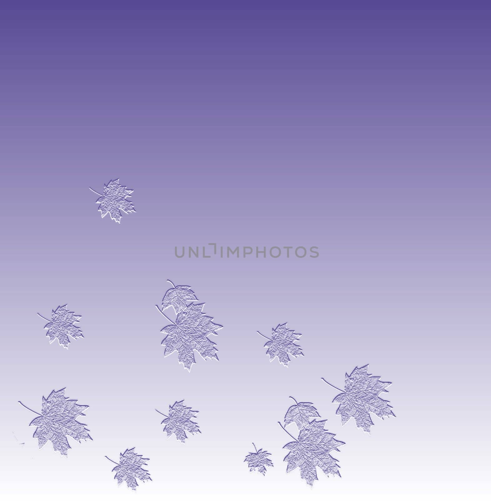 Light blue abstraction, natural pattern. Background of leaves. Maple leaves. Blue color