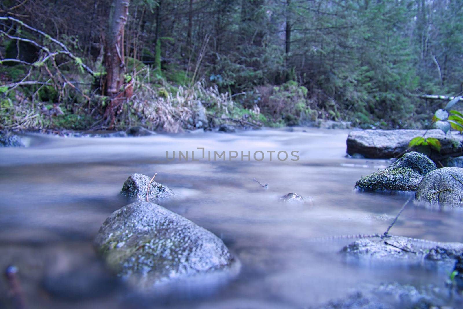 Long exposure shot of a river, stone in the foreground. Forest in the background. Picturesque nature