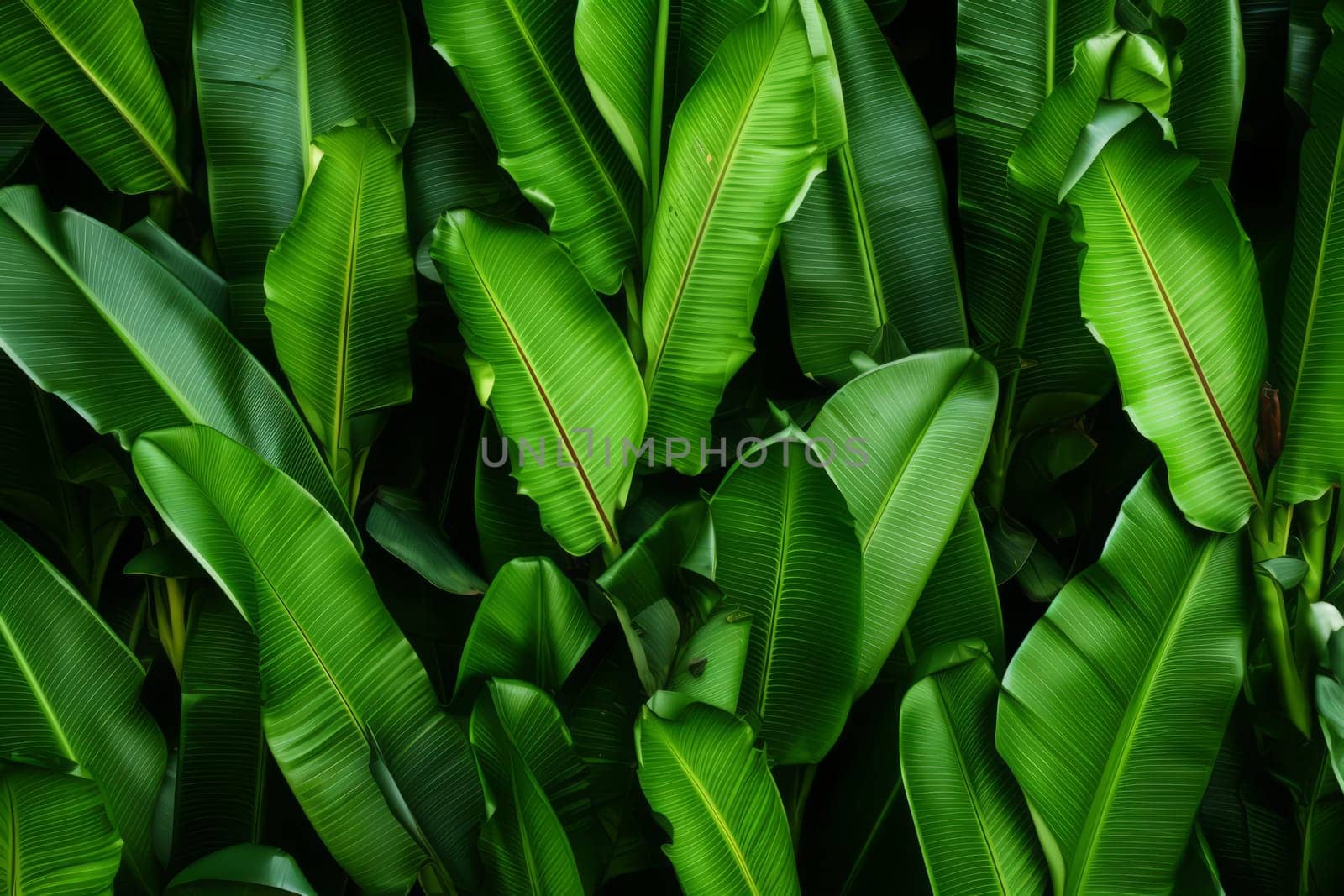 Banana Leaves Background Organic. Generative AI