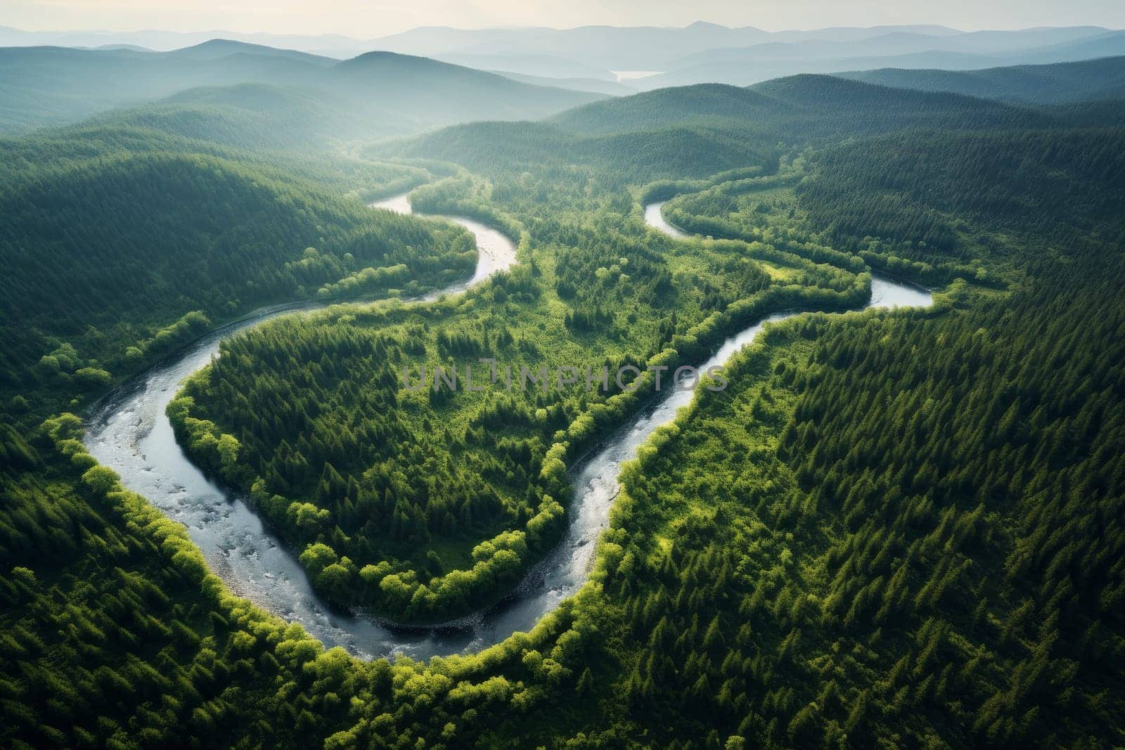 Aerial View of Winding Forest River. Generative AI