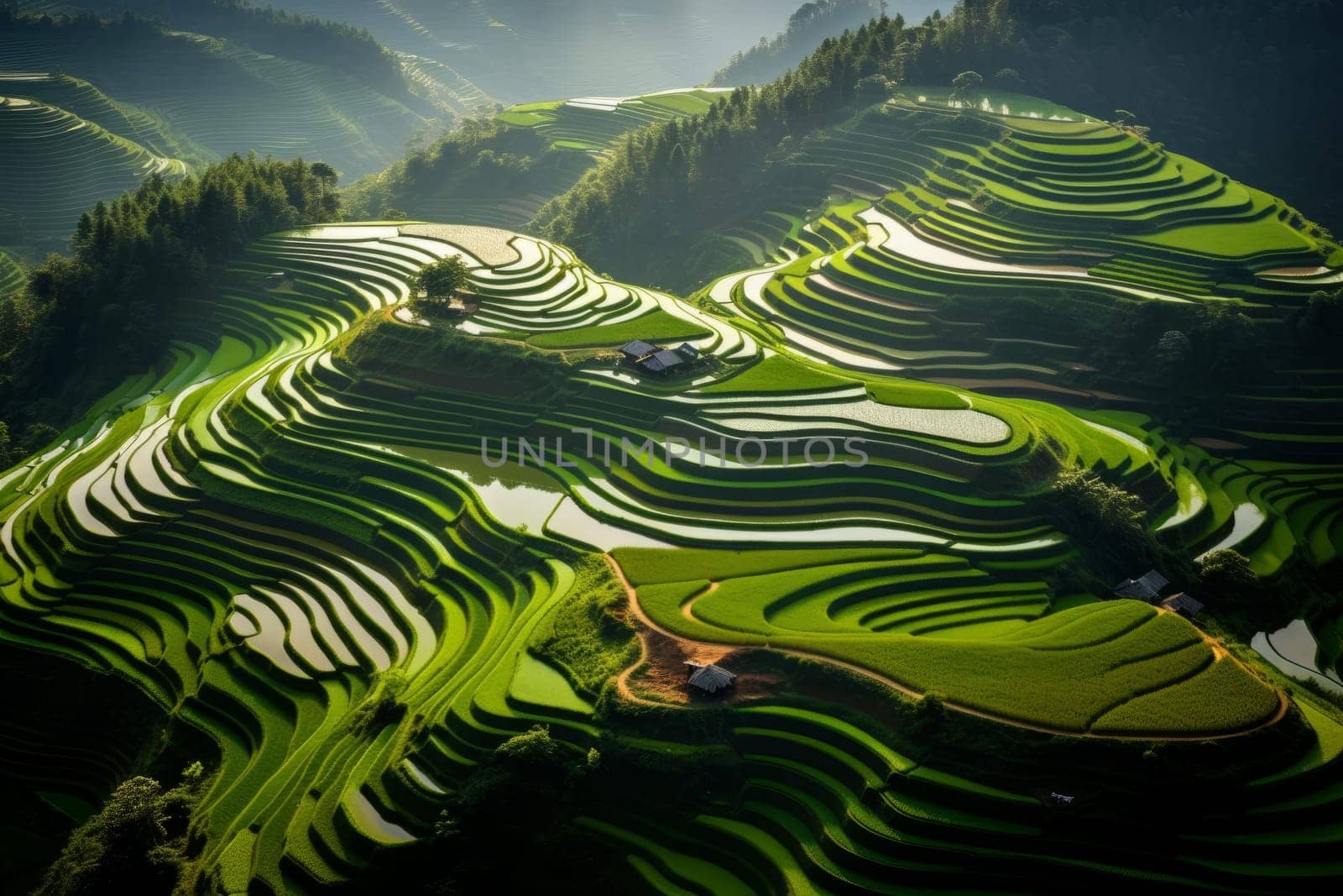 Intricate network of terraced paddy fields. Generative AI