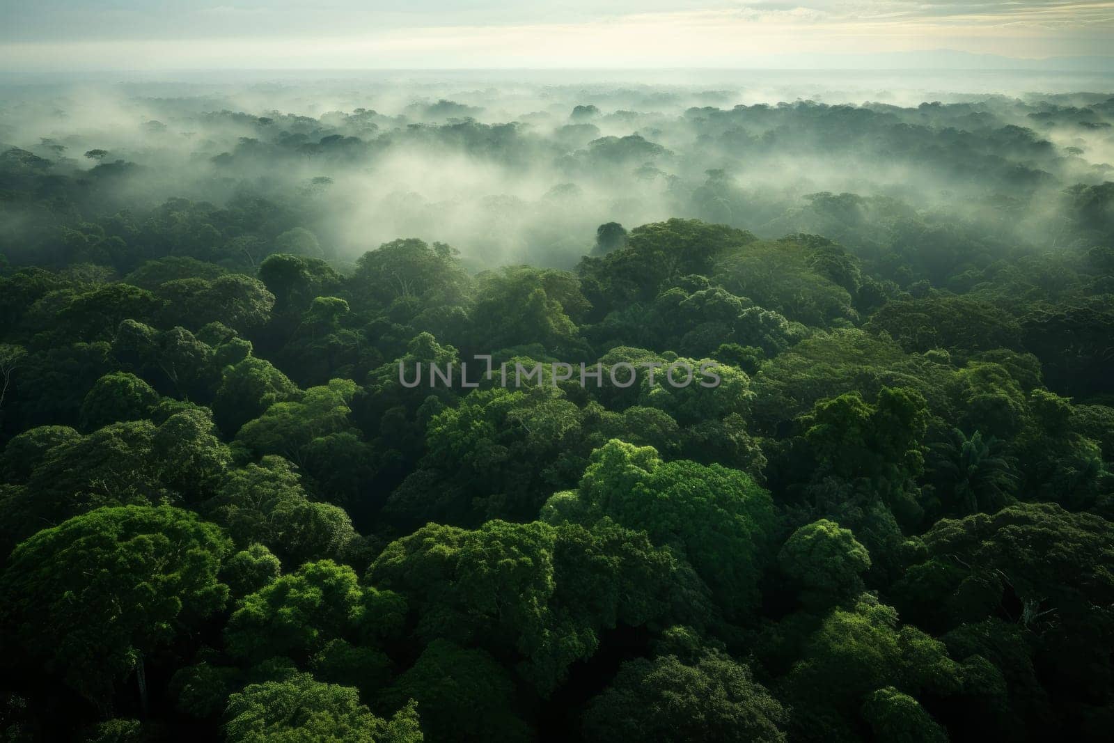 Aerial View of Vast Forest Canopy. Generative AI