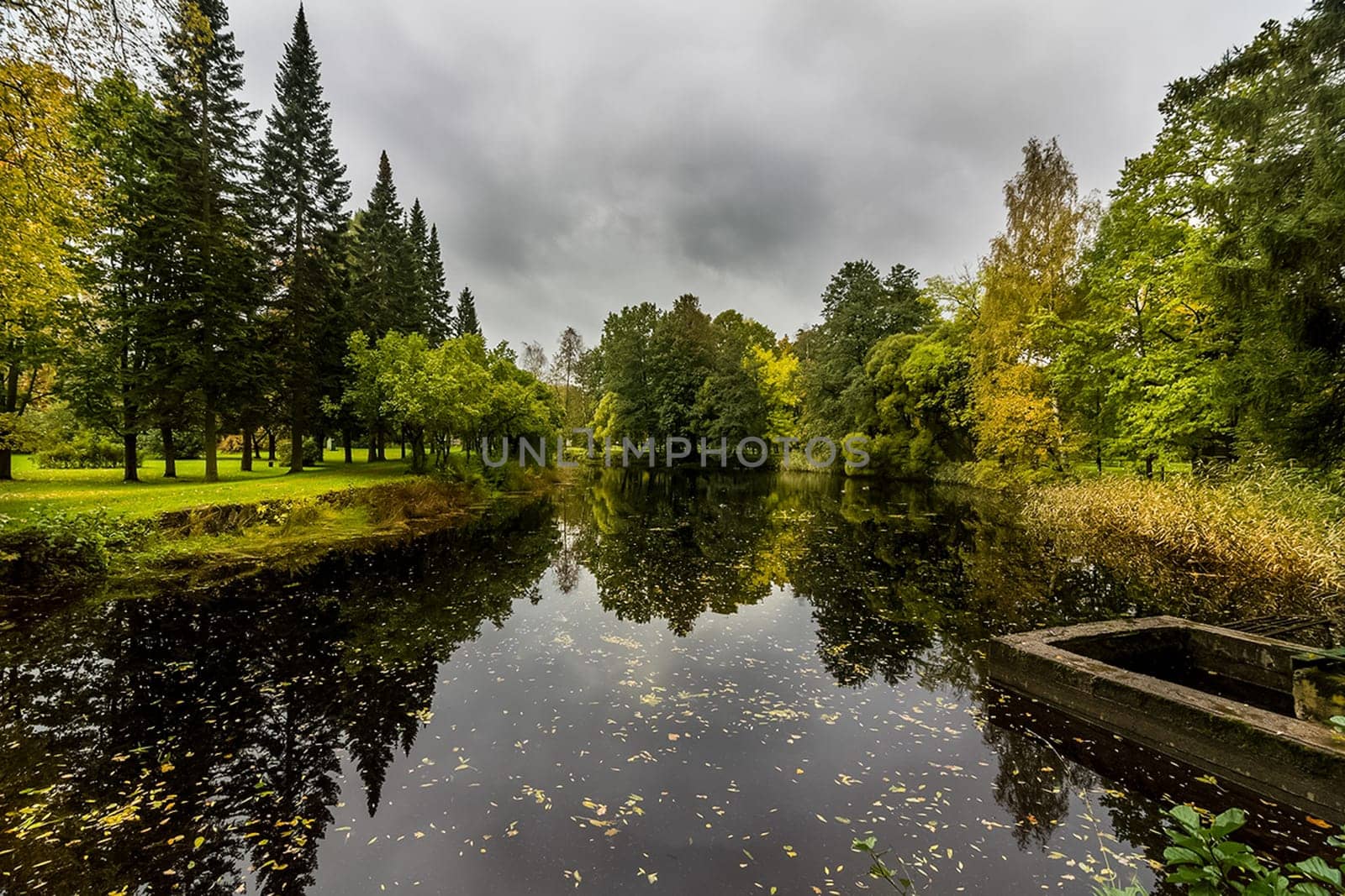 Nature near Peterhof, ponds and forest. Nature near Peterhof, ponds and forest