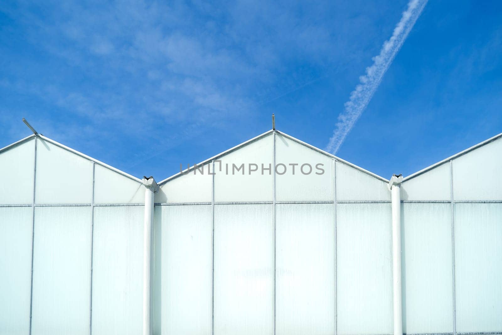 exterior of a commercial greenhouse against a blue sky