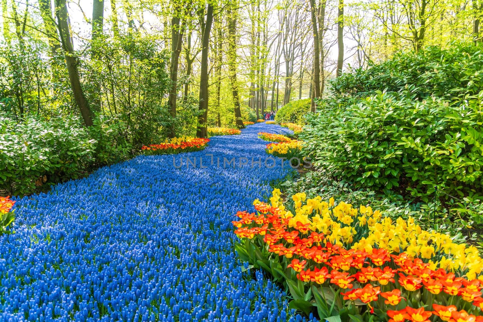 LISSE, NETHERLANDS - APRIL 22, 2018: Lots of people enjoying the blooming tulips in the Keukenhof, the most beautiful spring garden in the world.