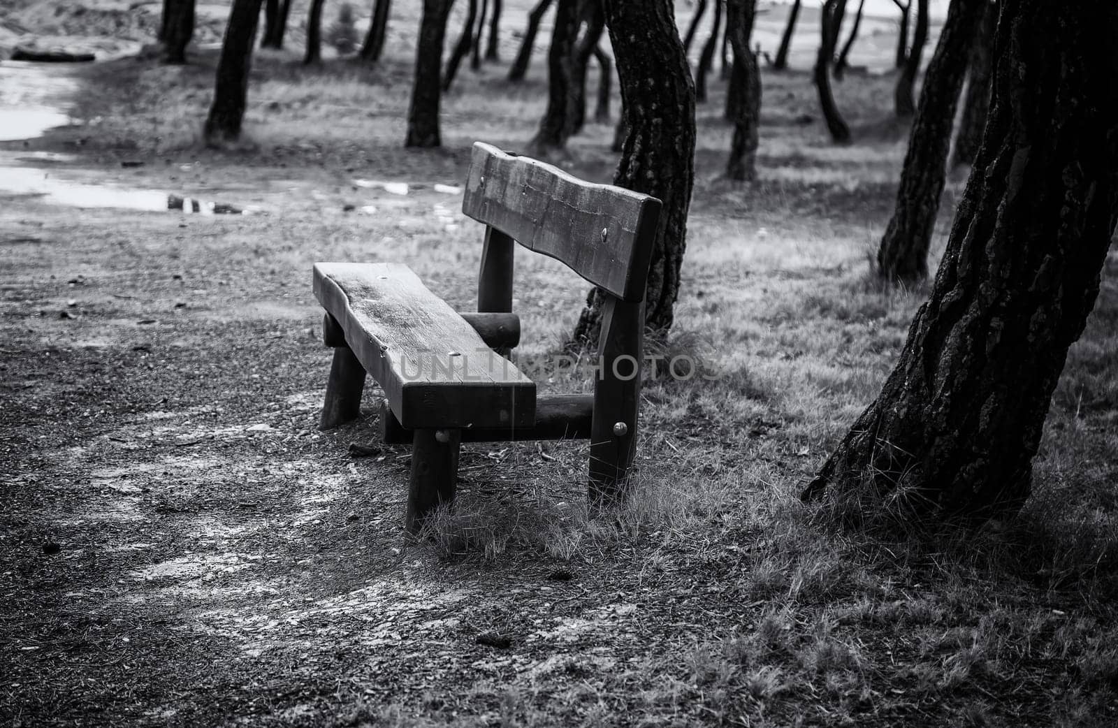 Detail of bench to sit and rest in nature