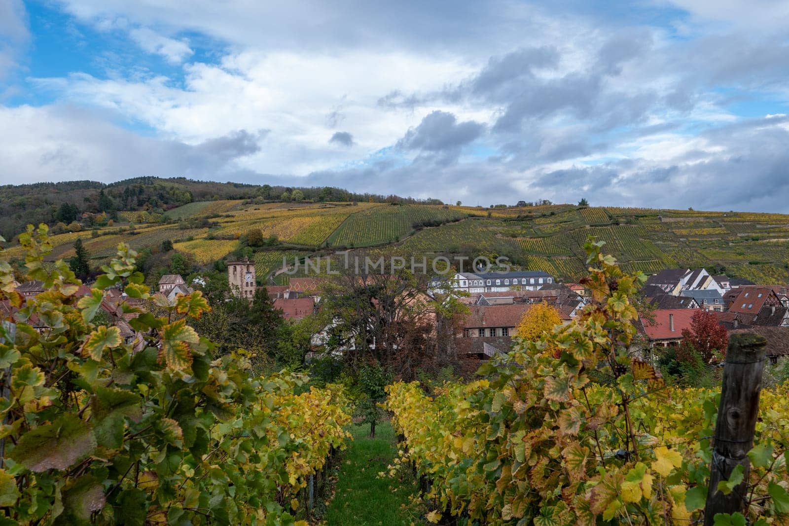 a typical Alsatian village in the middle of the vineyards