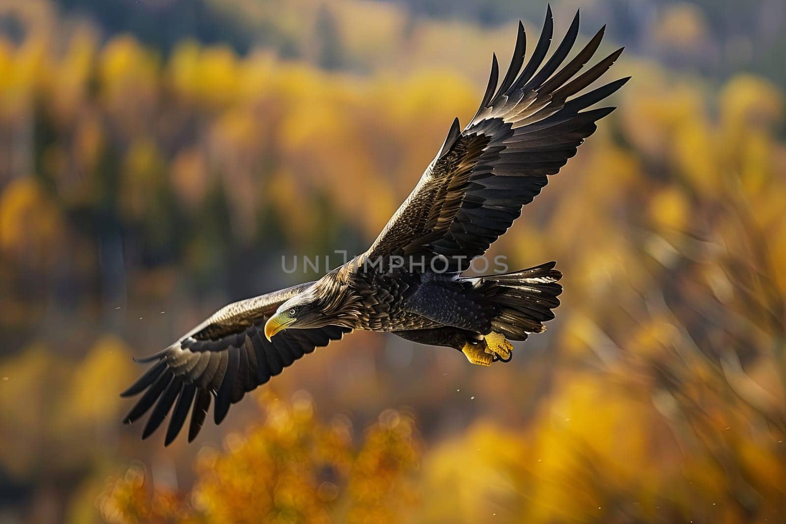A large bird gracefully flies across a lush green field, its wings outstretched as it glides effortlessly through the sky. The birds elegant silhouette contrasts sharply against the vibrant backdrop of the flourishing landscape below.