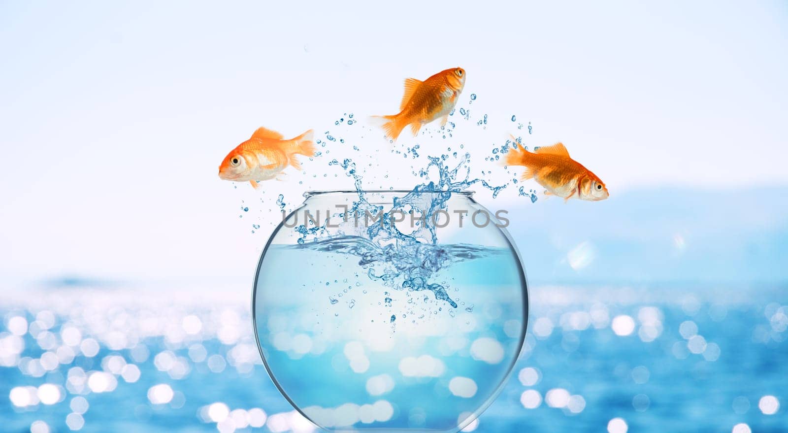 Goldfish leaps out of the aquarium to throw itself into the ocean