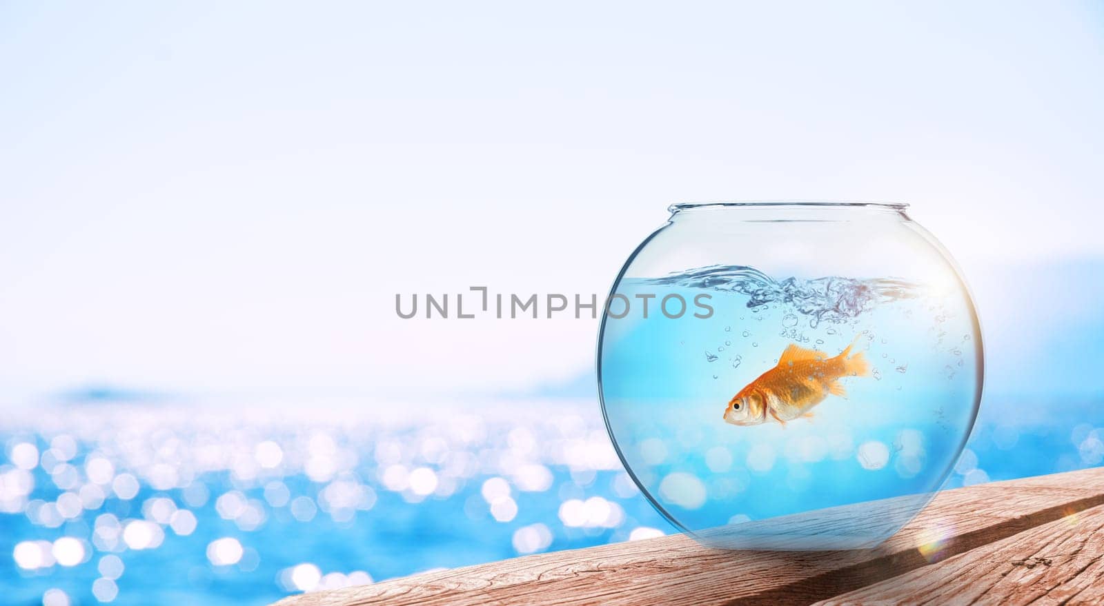 Goldfish leaps out of the aquarium to throw itself into the ocean
