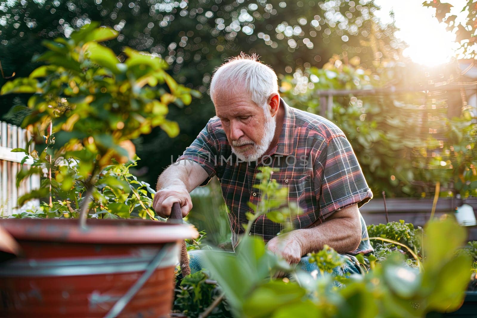 An older man is seen working in his garden under the bright sun, gently tending to his plants and flowers with care and attention. He is focused and engaged in his gardening tasks, utilizing tools and equipment to maintain the garden.
