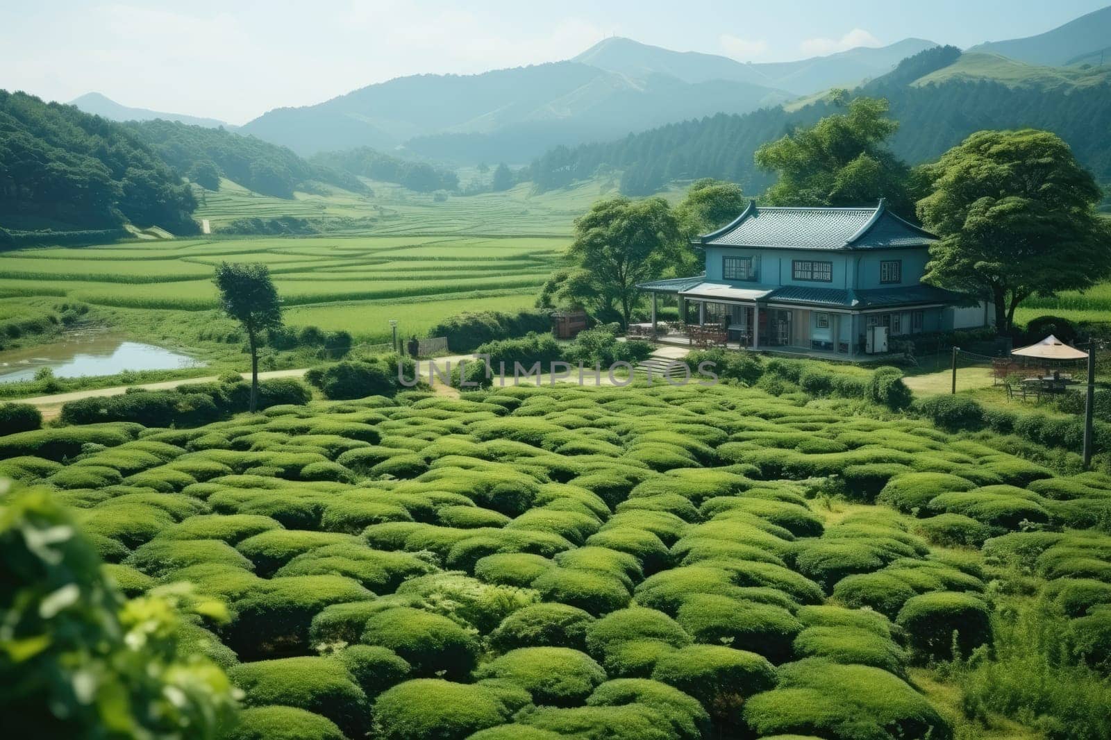 luxury homestay on a hilltop with views of green tea plantations inspiration ideas