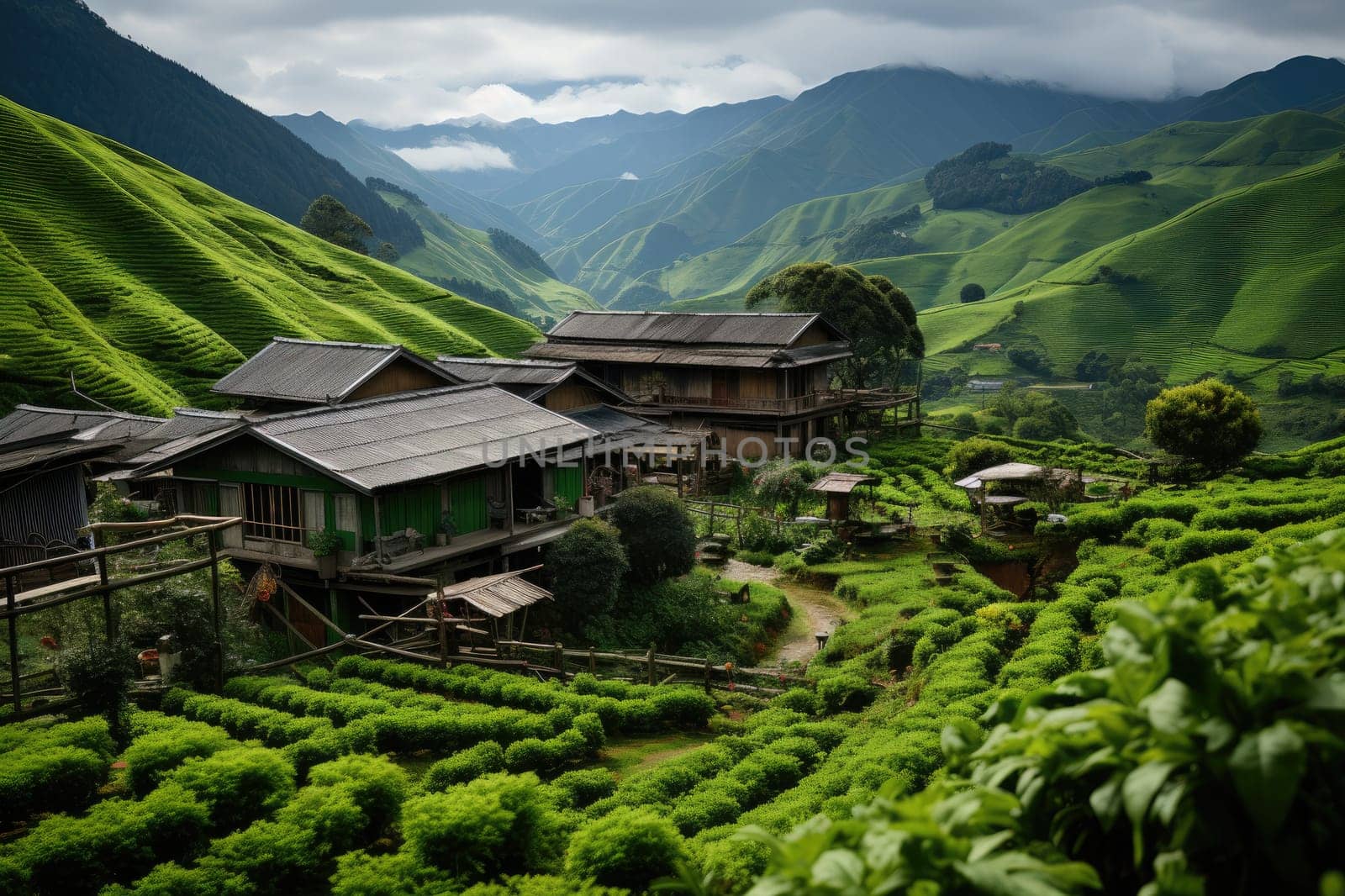 luxury homestay on a hilltop with views of green tea plantations inspiration ideas