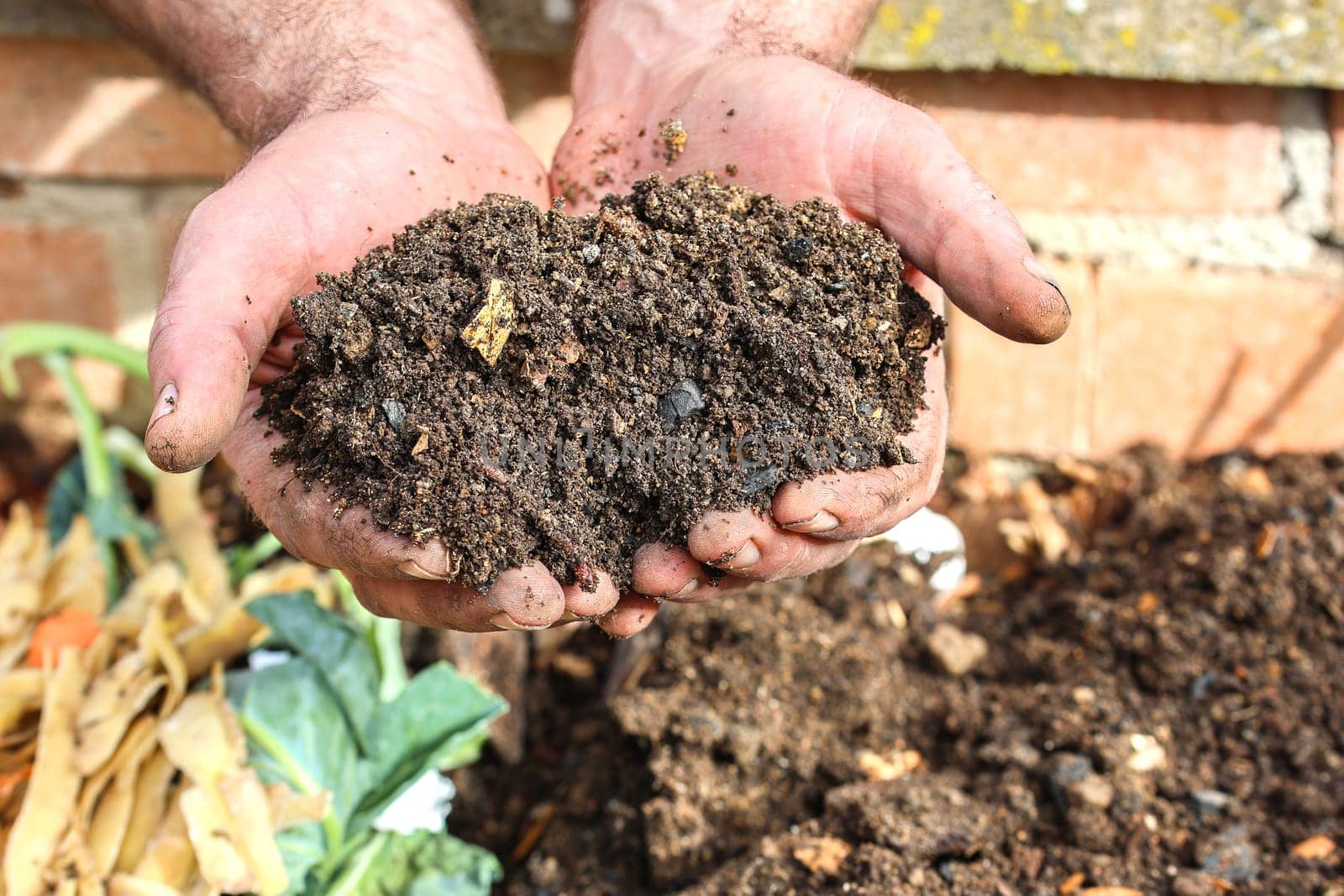 Compost sifted in spring as fertilizer in the garden.